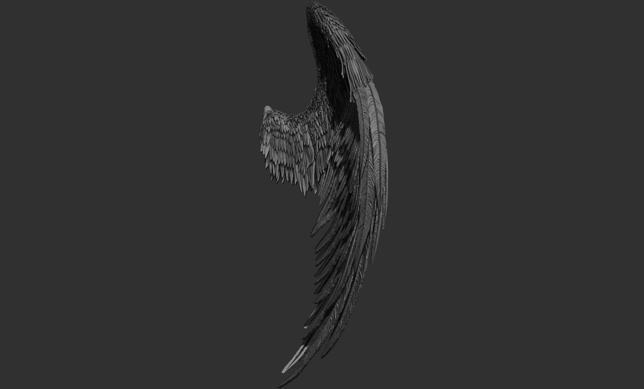 11 Wings 3D model_69