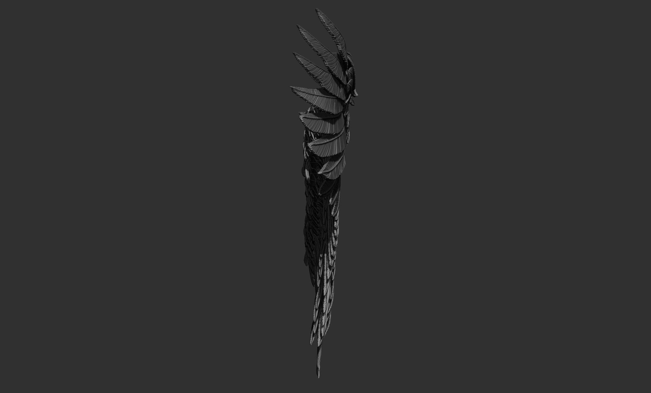 11 Wings 3D model_53