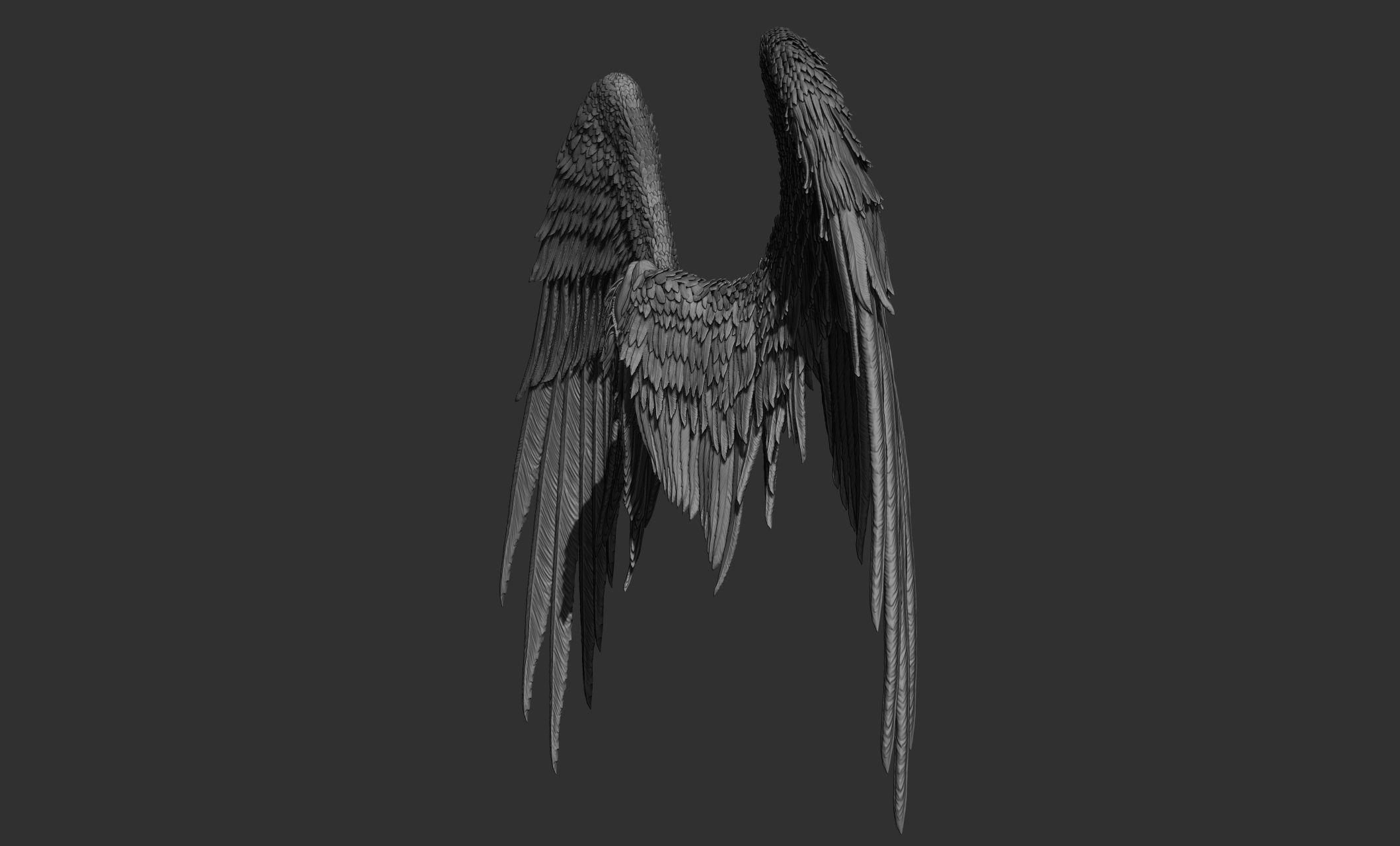 11 Wings 3D model_36