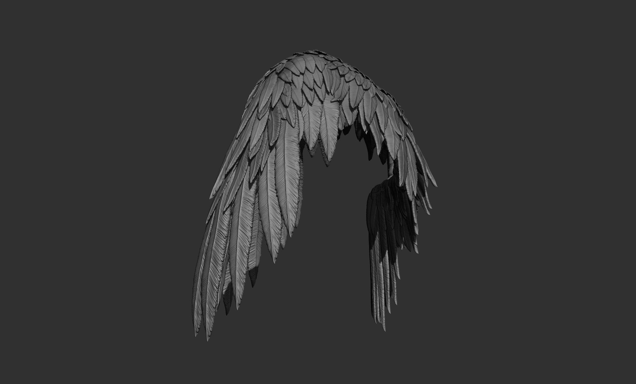 11 Wings 3D model_43