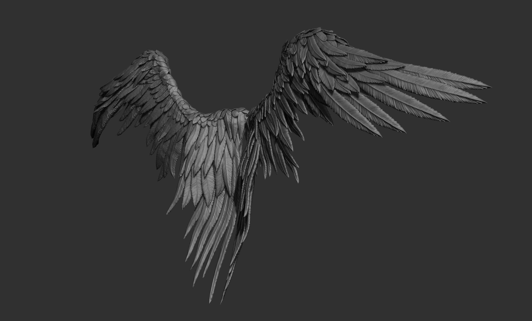 11 Wings 3D model_15