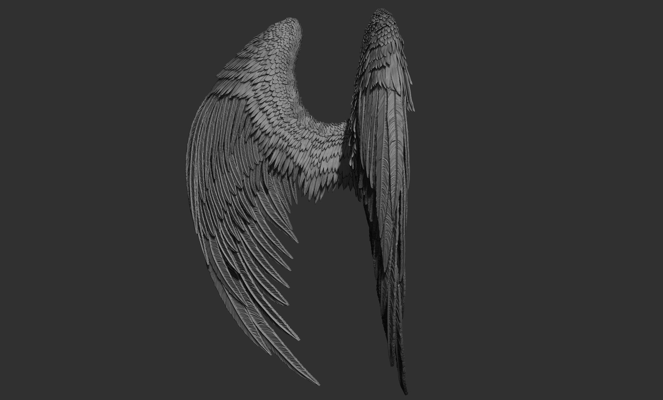 11 Wings 3D model_72