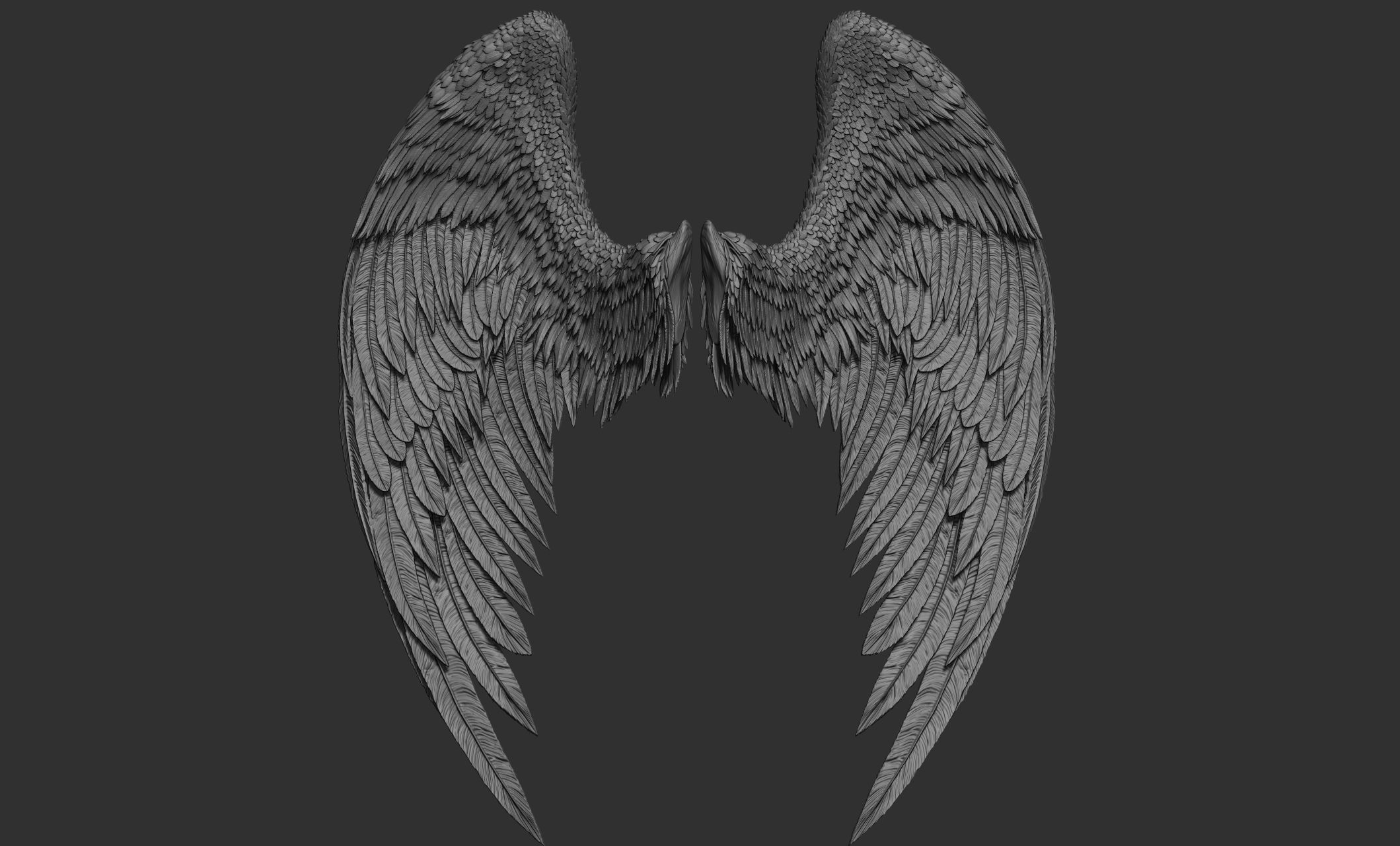 11 Wings 3D model_66