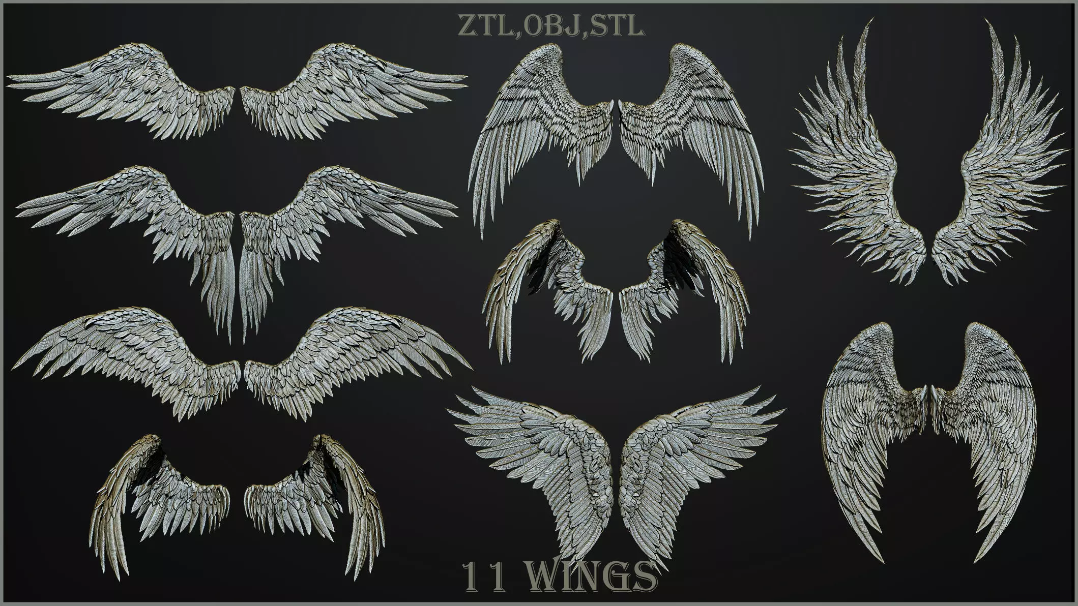 11 Wings 3D model_0