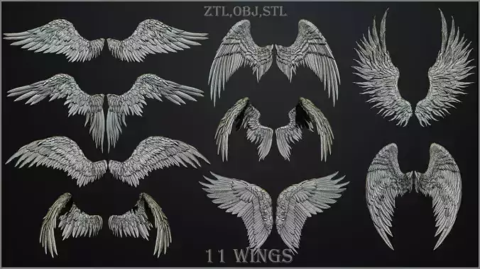 11 Wings 3D model