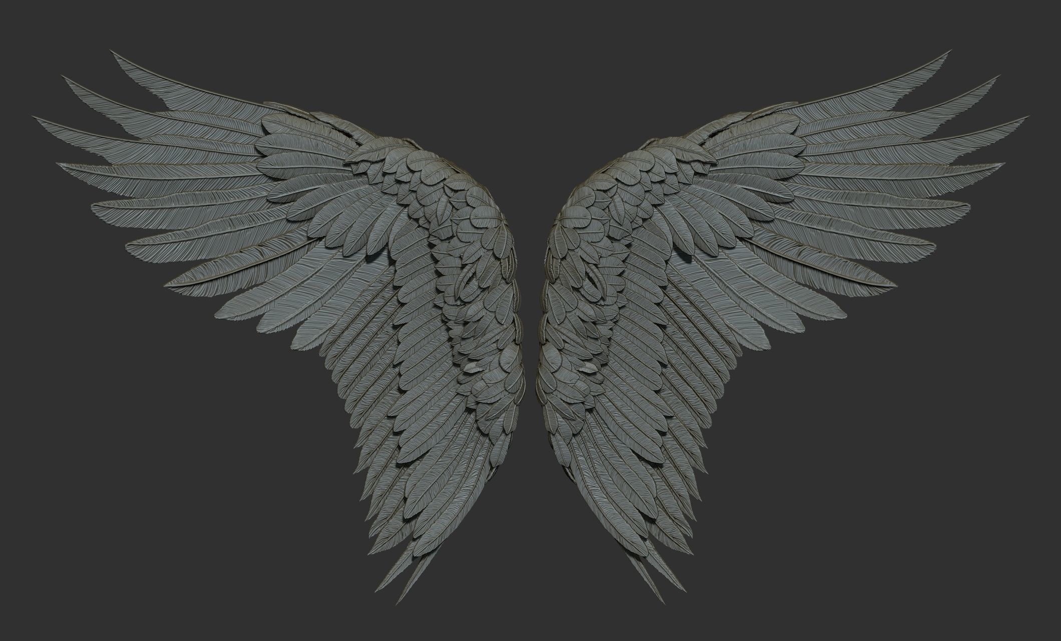11 Wings 3D model_50