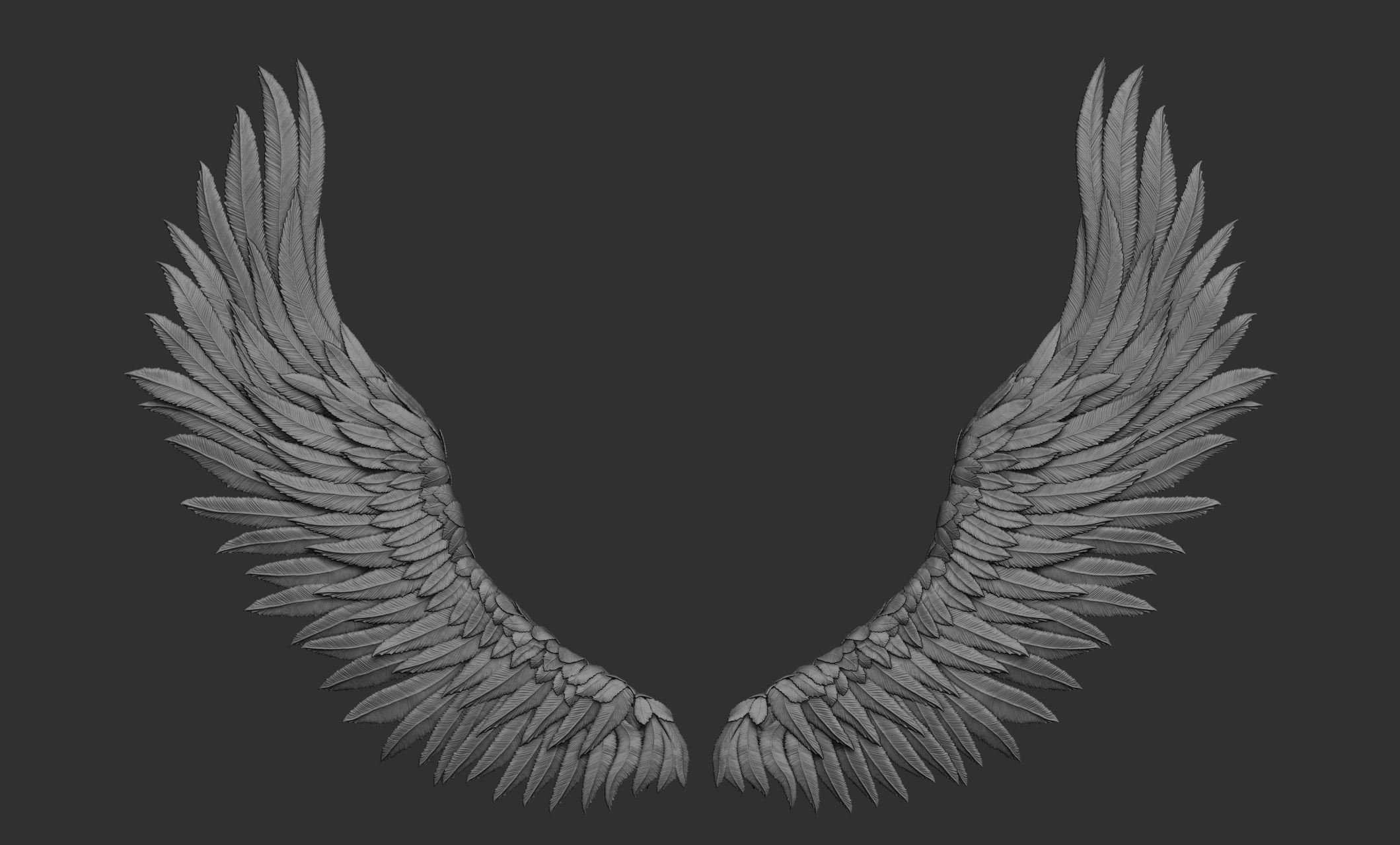 11 Wings 3D model_76