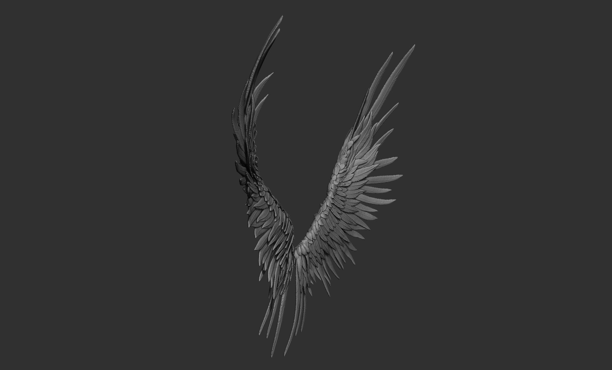 11 Wings 3D model_82