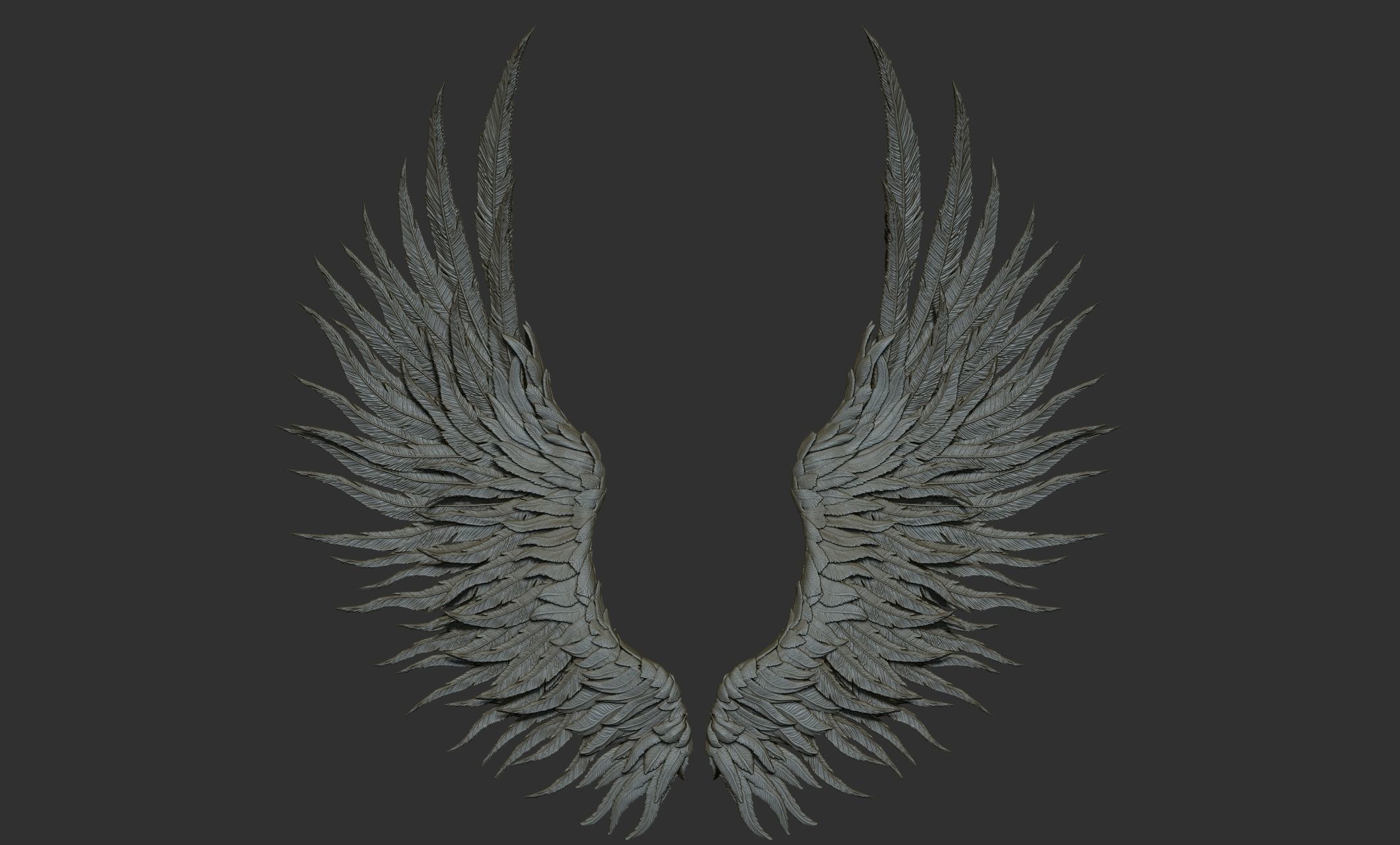 11 Wings 3D model_59