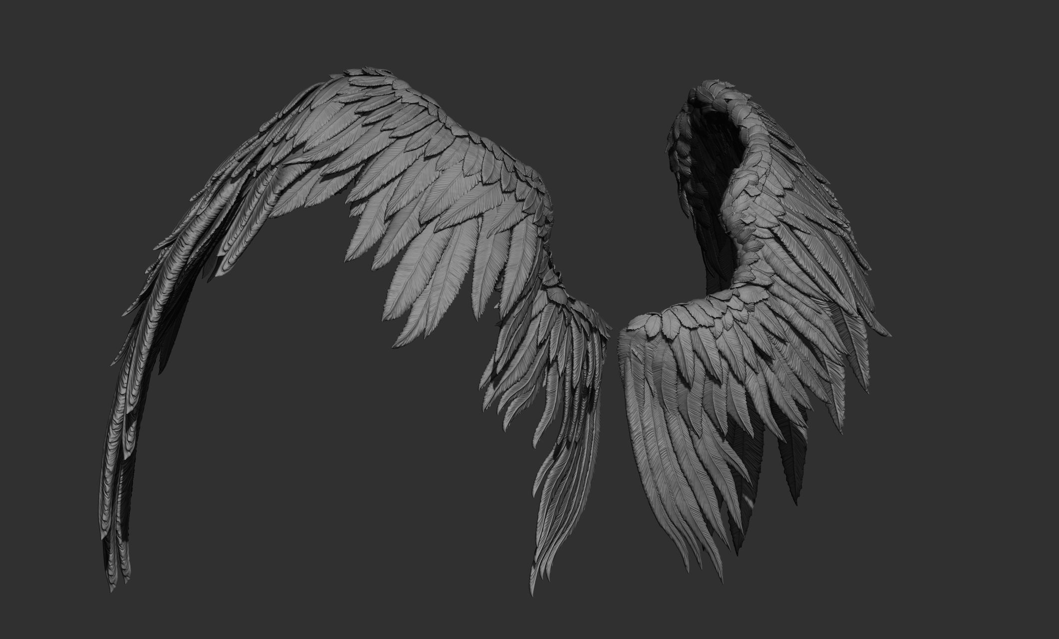 11 Wings 3D model_44