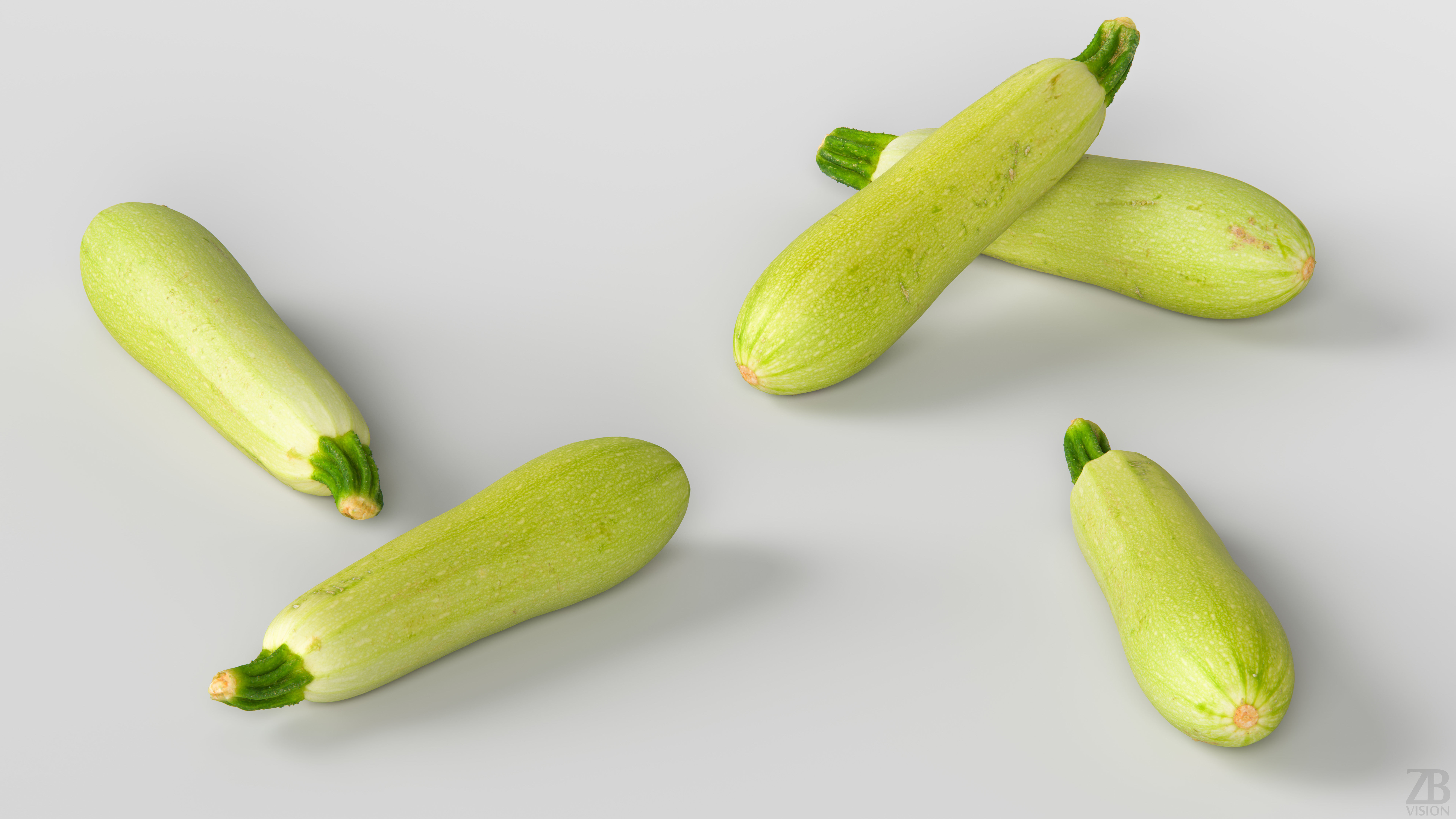 Marrow 3D model_2