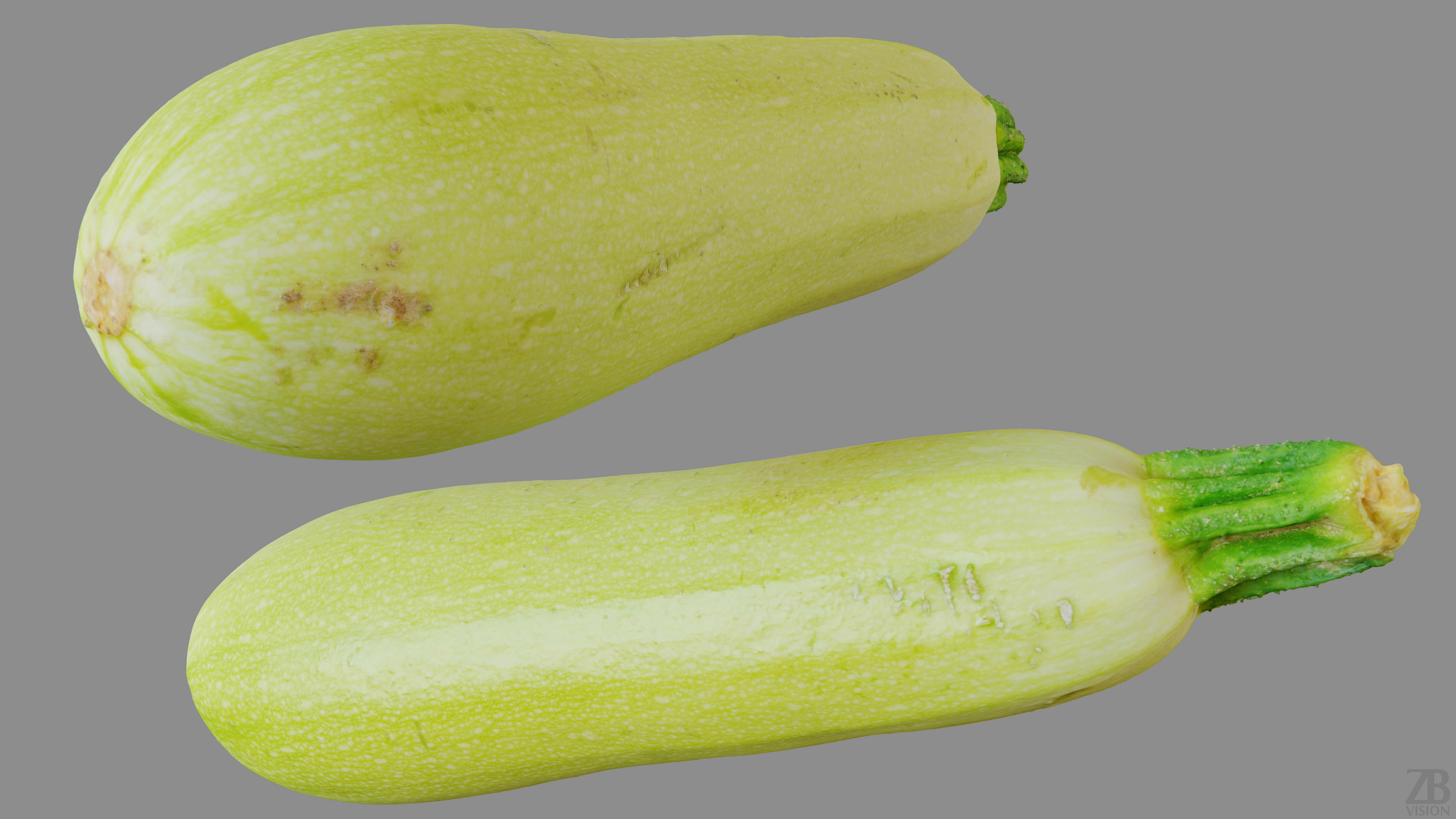 Marrow 3D model_9