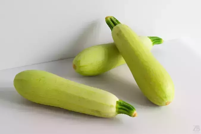 Marrow 3D model