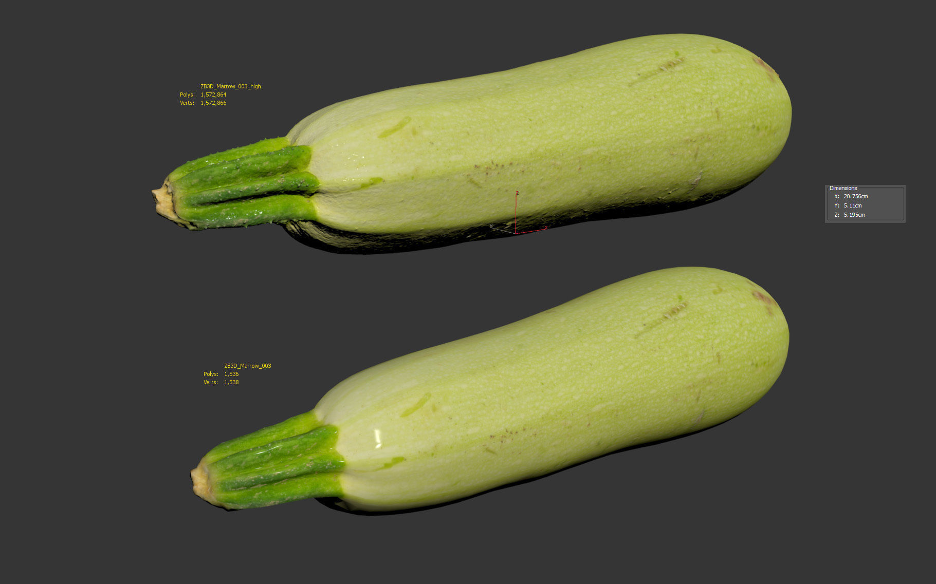 Marrow 3D model_5