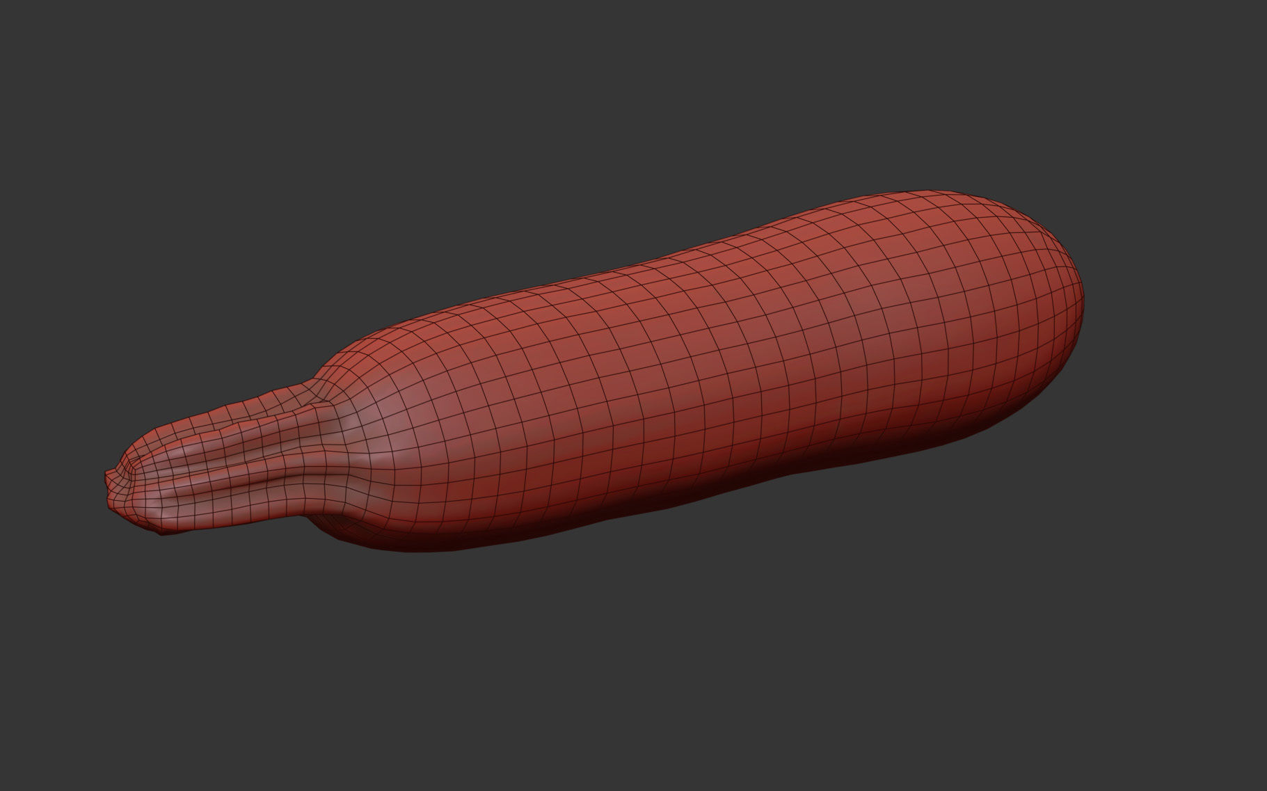 Marrow 3D model_6