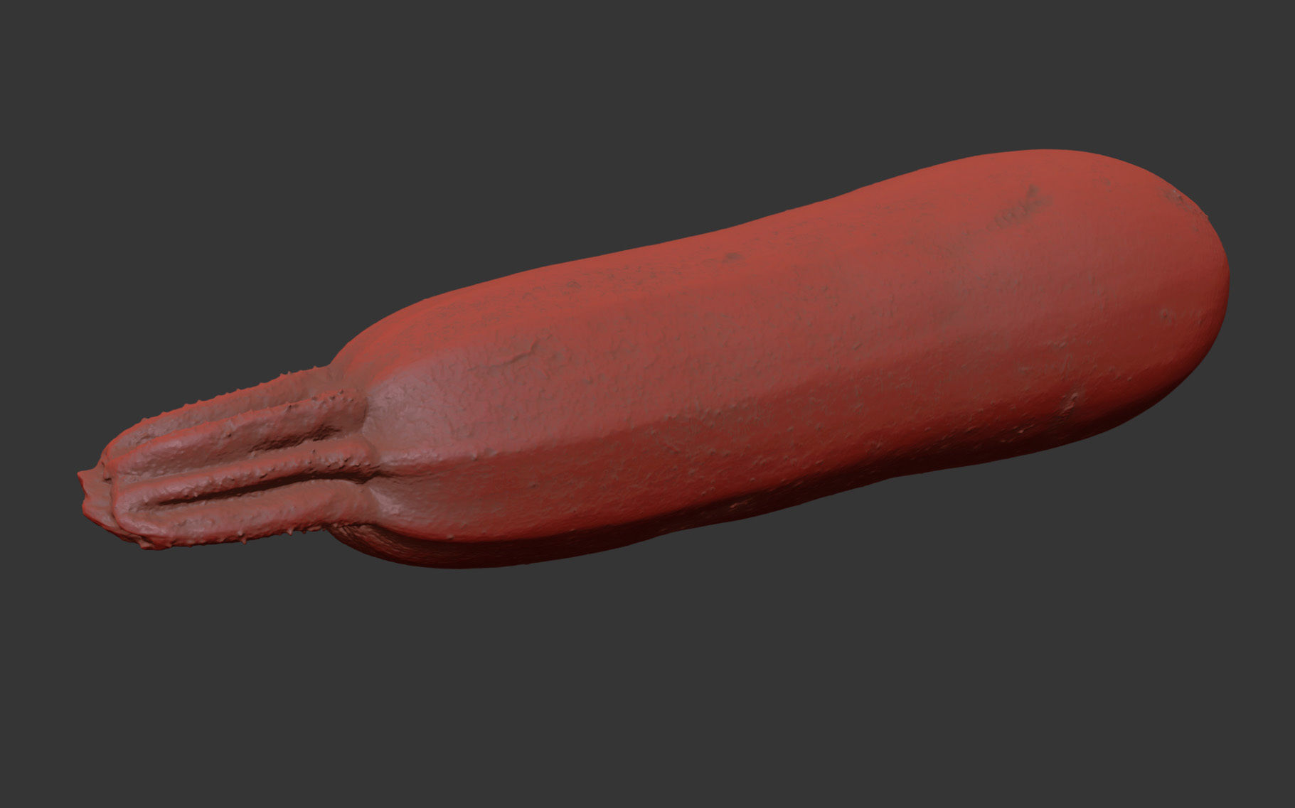 Marrow 3D model_7