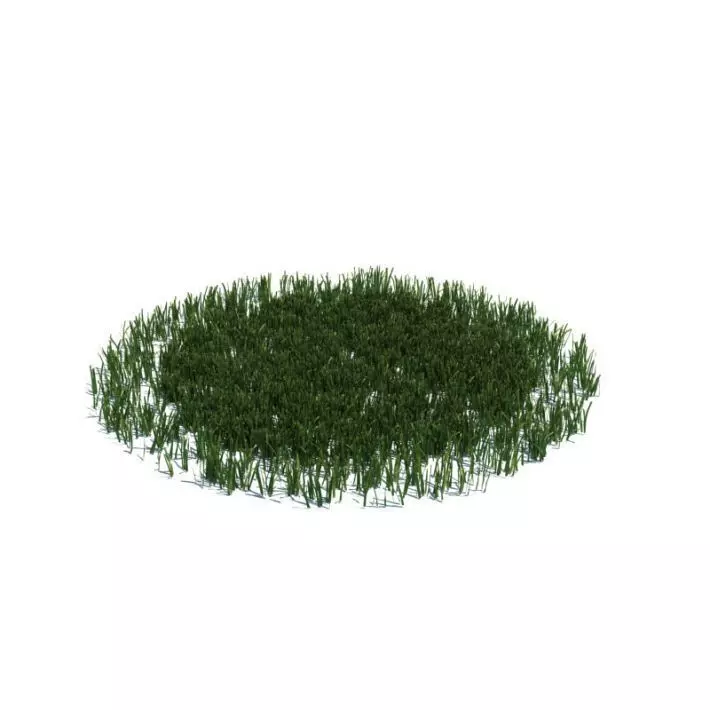 Grass Circle 3D model_0