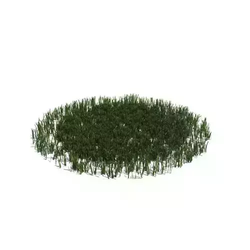 Grass Circle