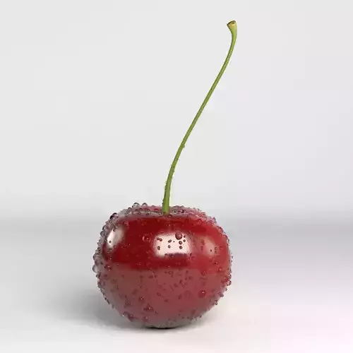 Cherry 3D model