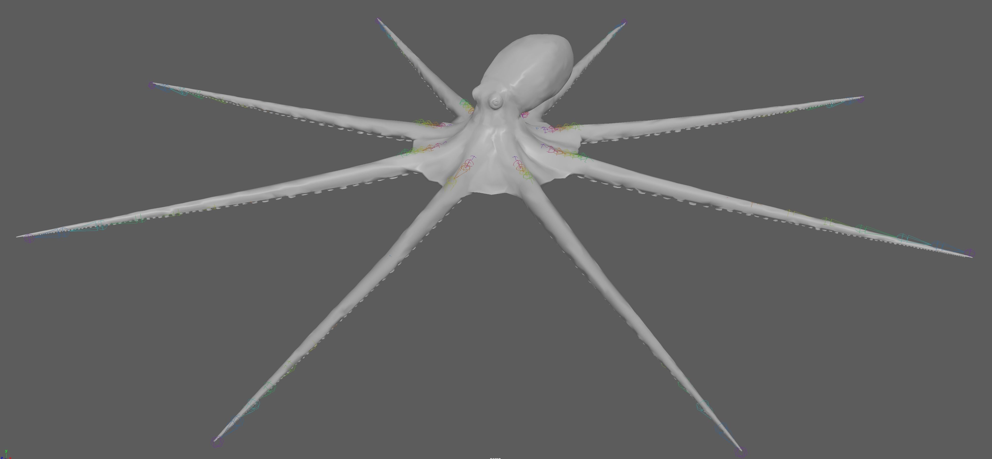 Octopus Rigged 3D model_9