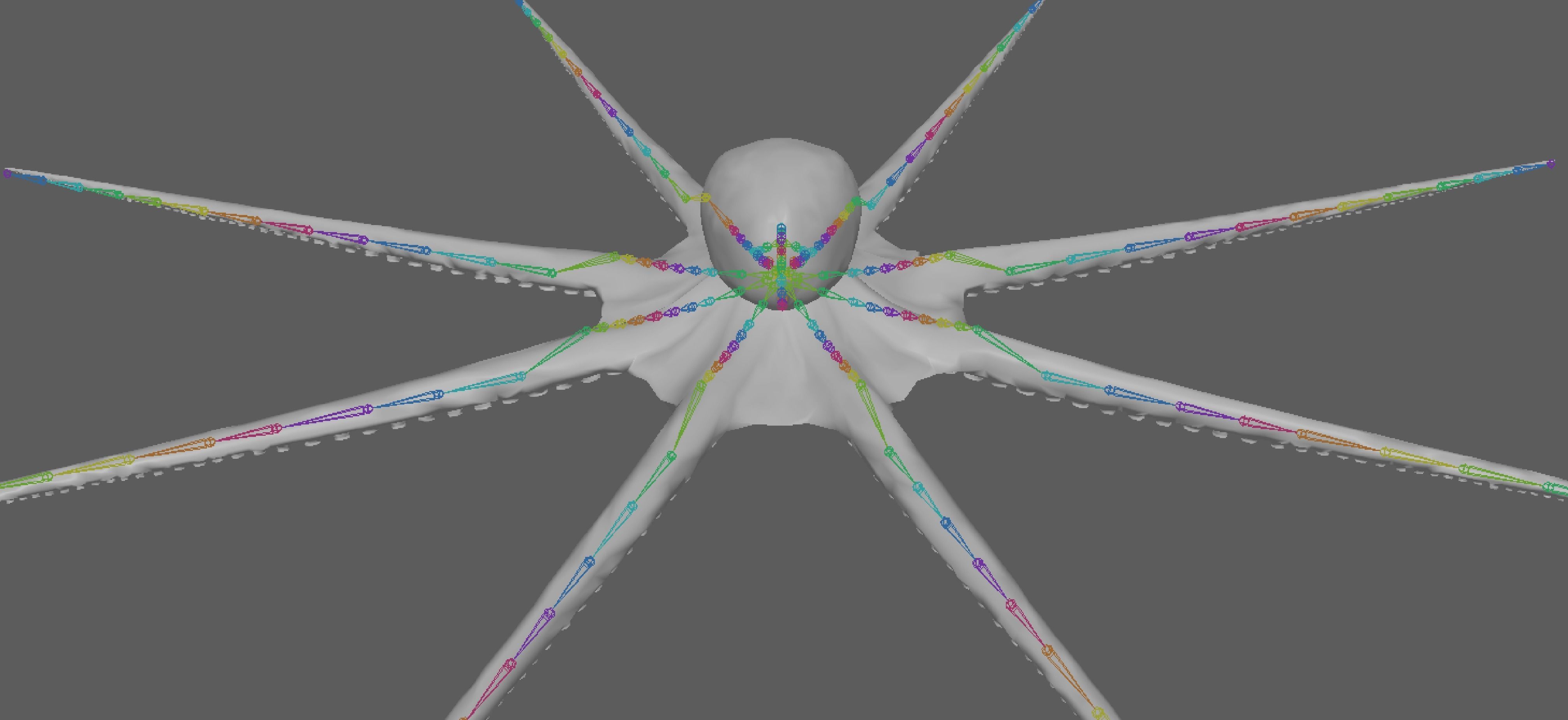 Octopus Rigged 3D model_11