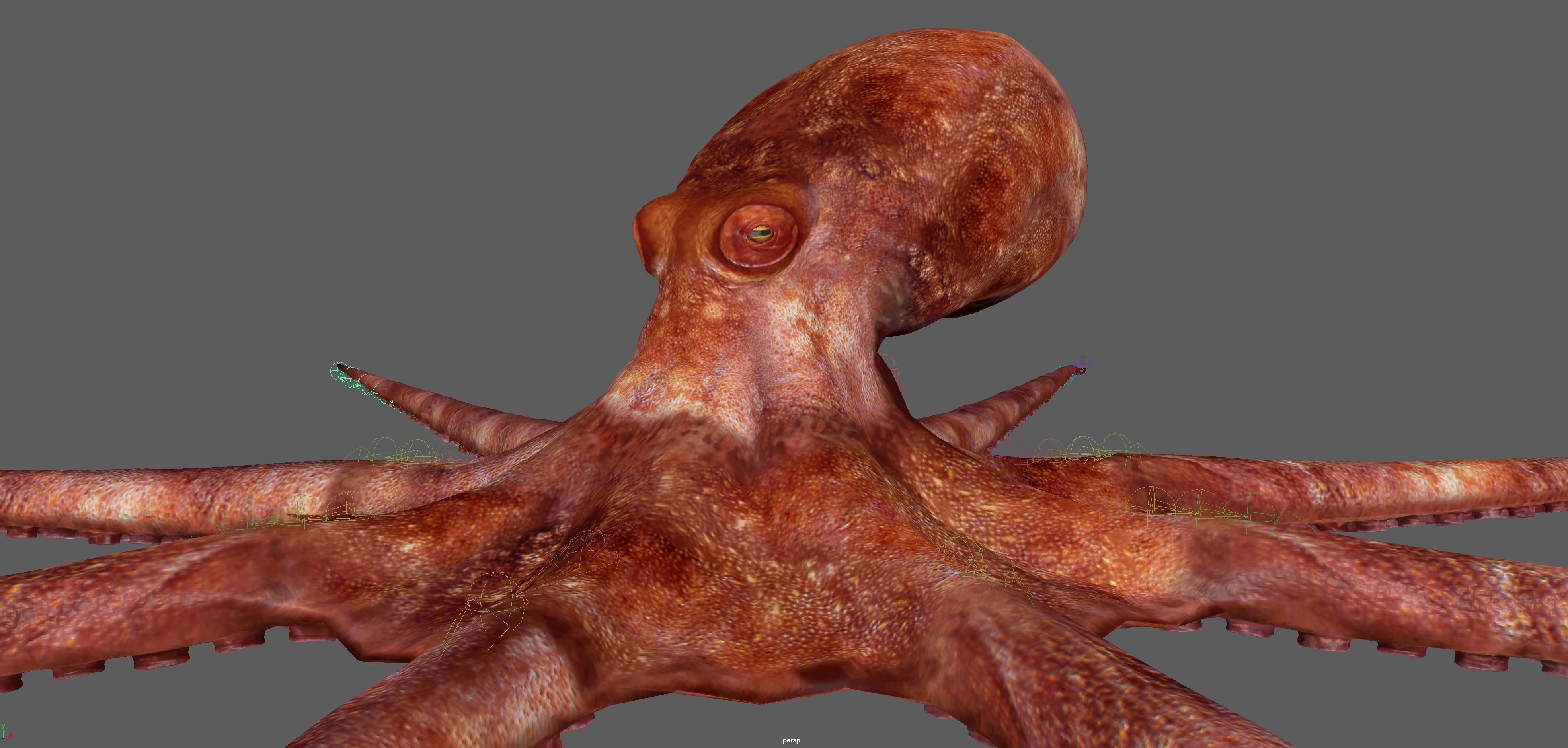 Octopus Rigged 3D model_17