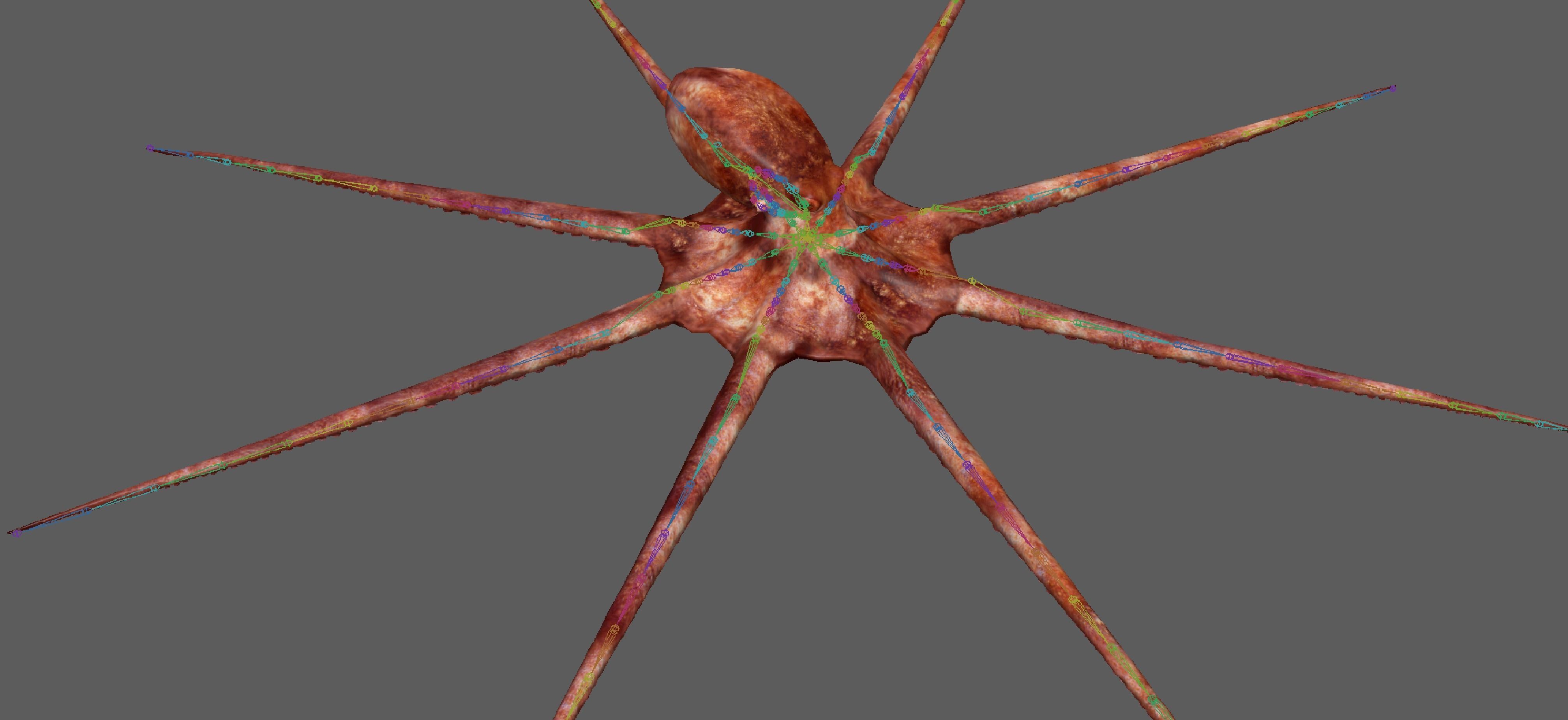 Octopus Rigged 3D model_10