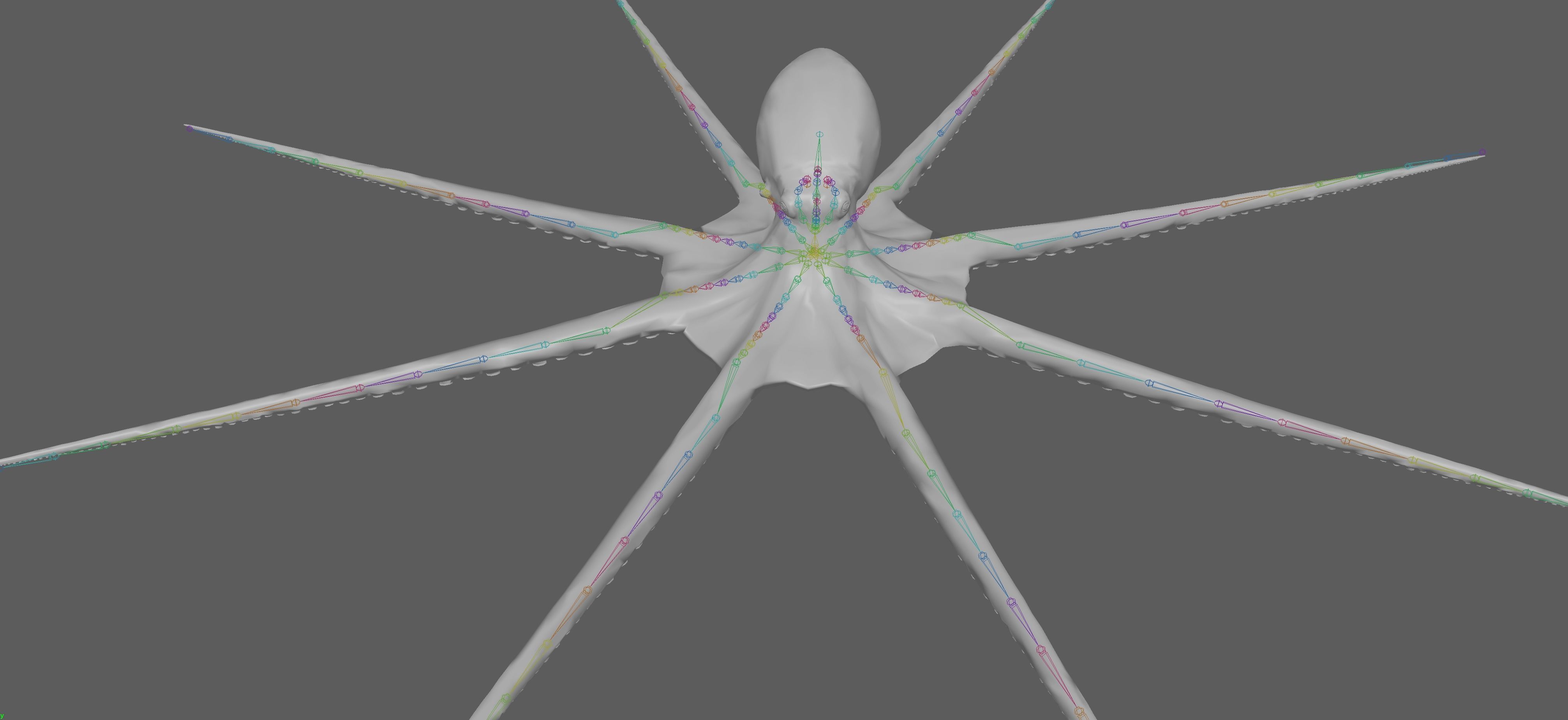 Octopus Rigged 3D model_16