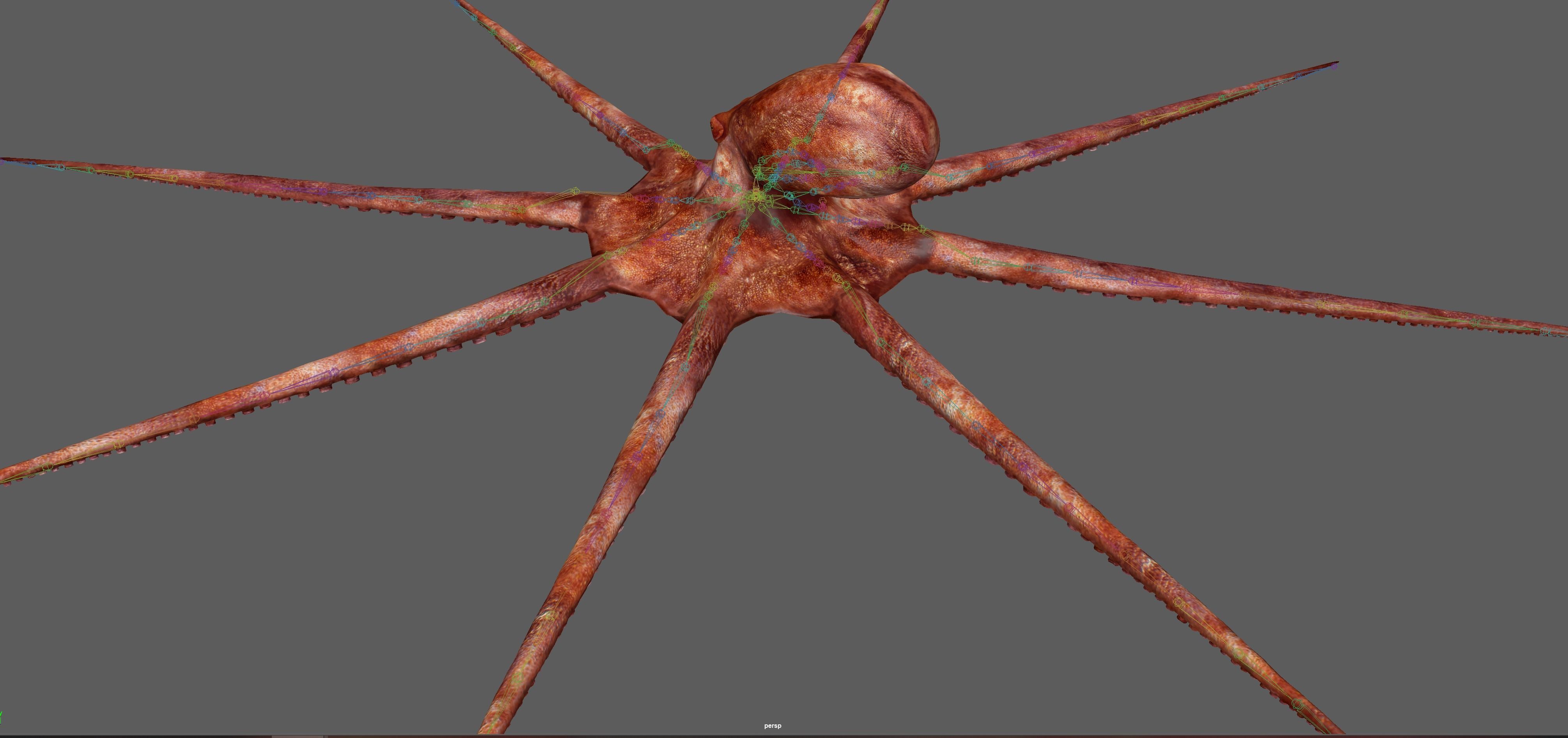 Octopus Rigged 3D model_21