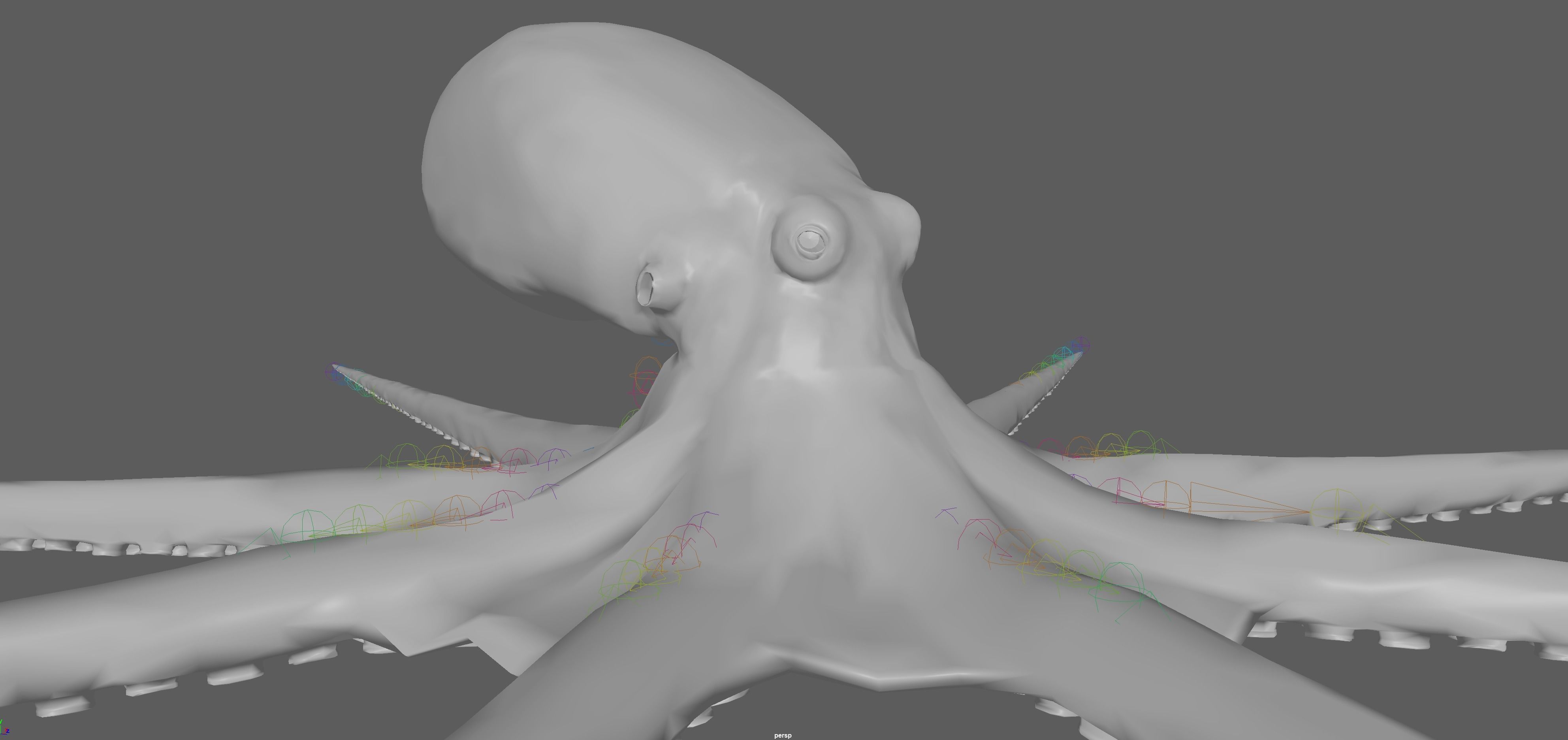 Octopus Rigged 3D model_13
