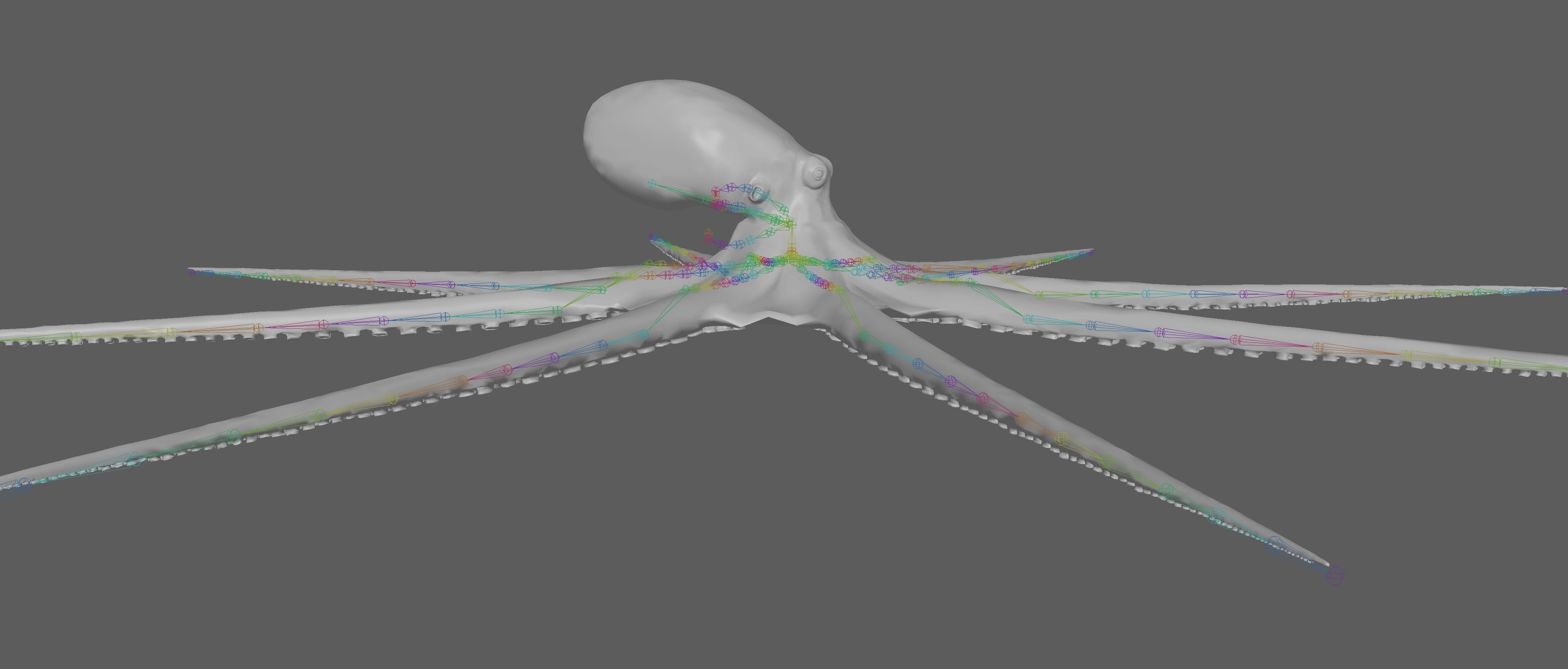 Octopus Rigged 3D model_19
