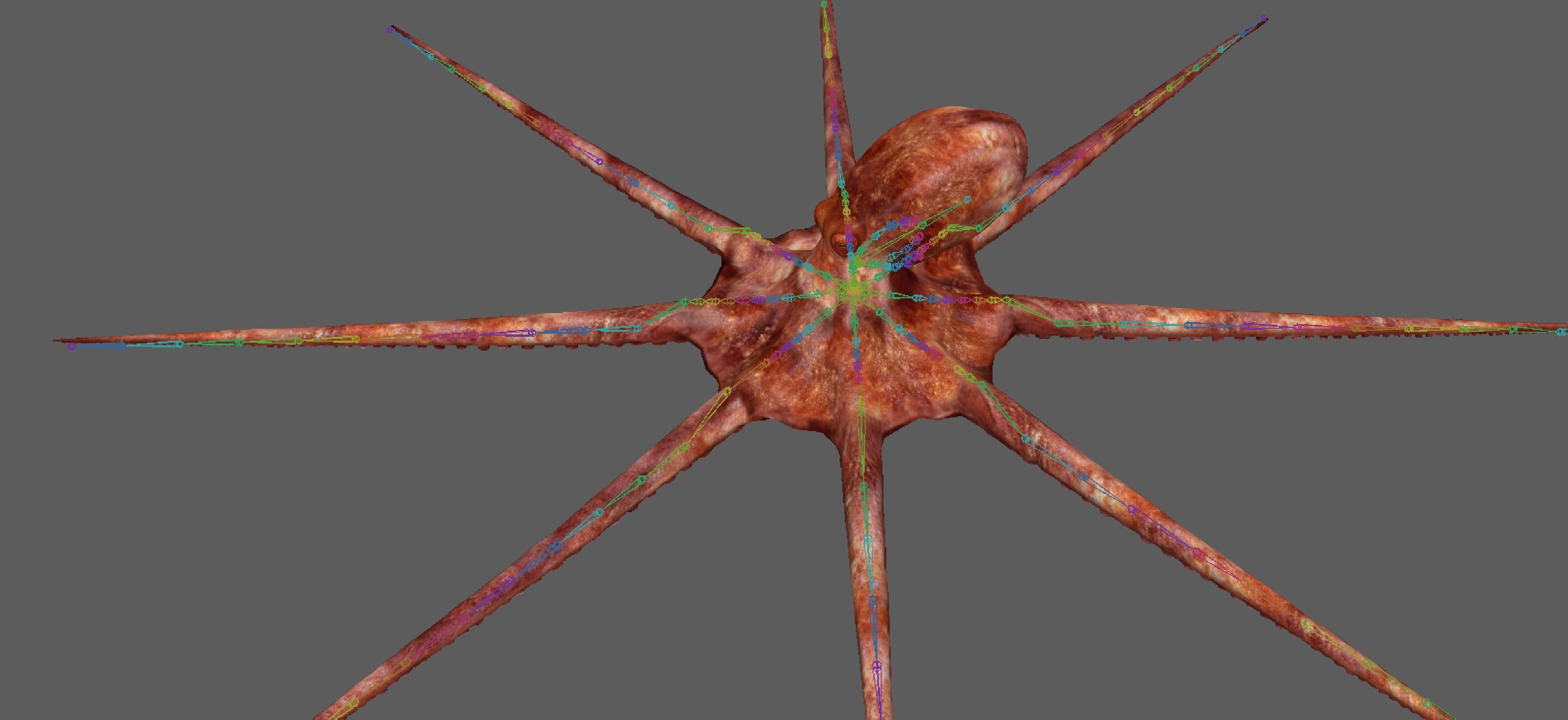 Octopus Rigged 3D model_12