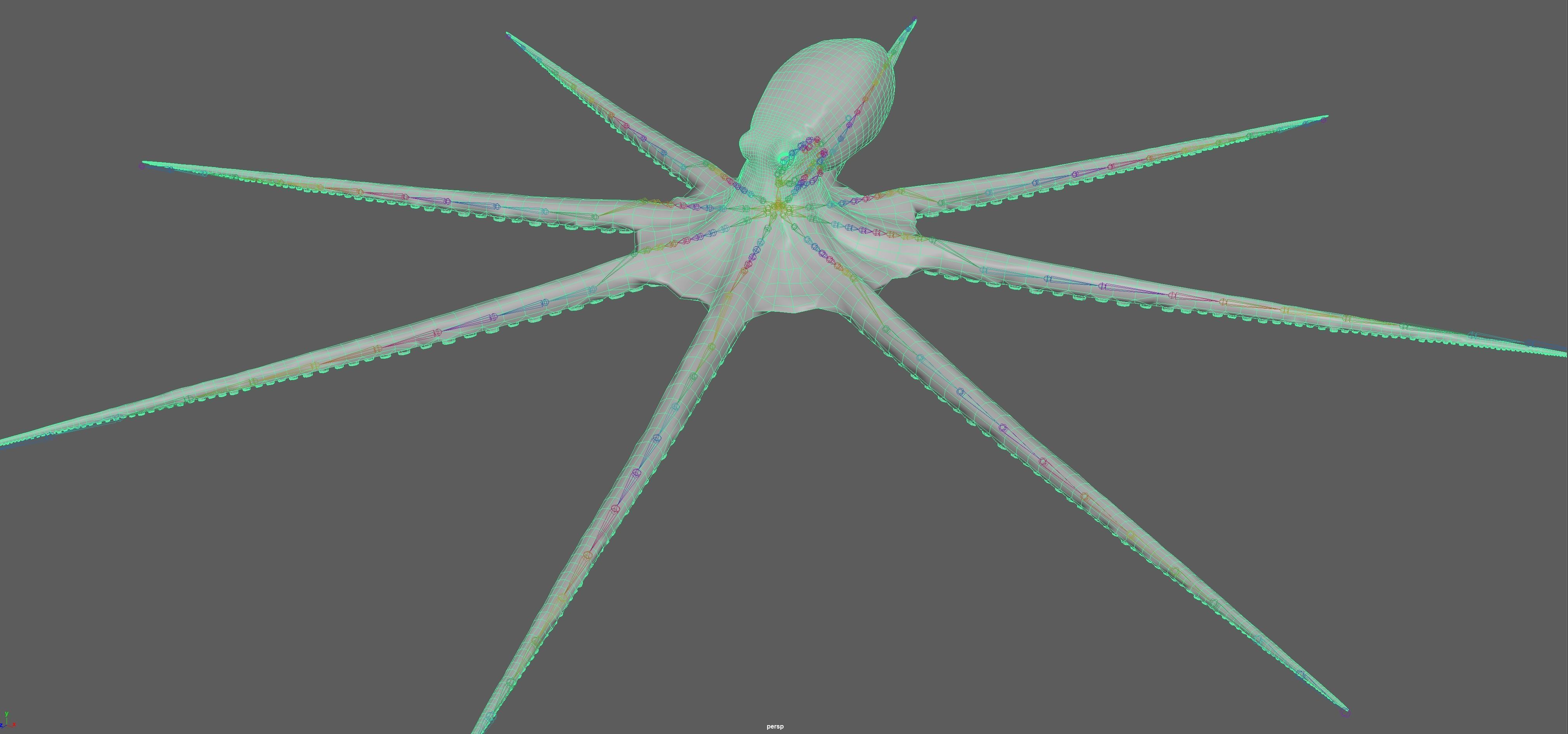 Octopus Rigged 3D model_14