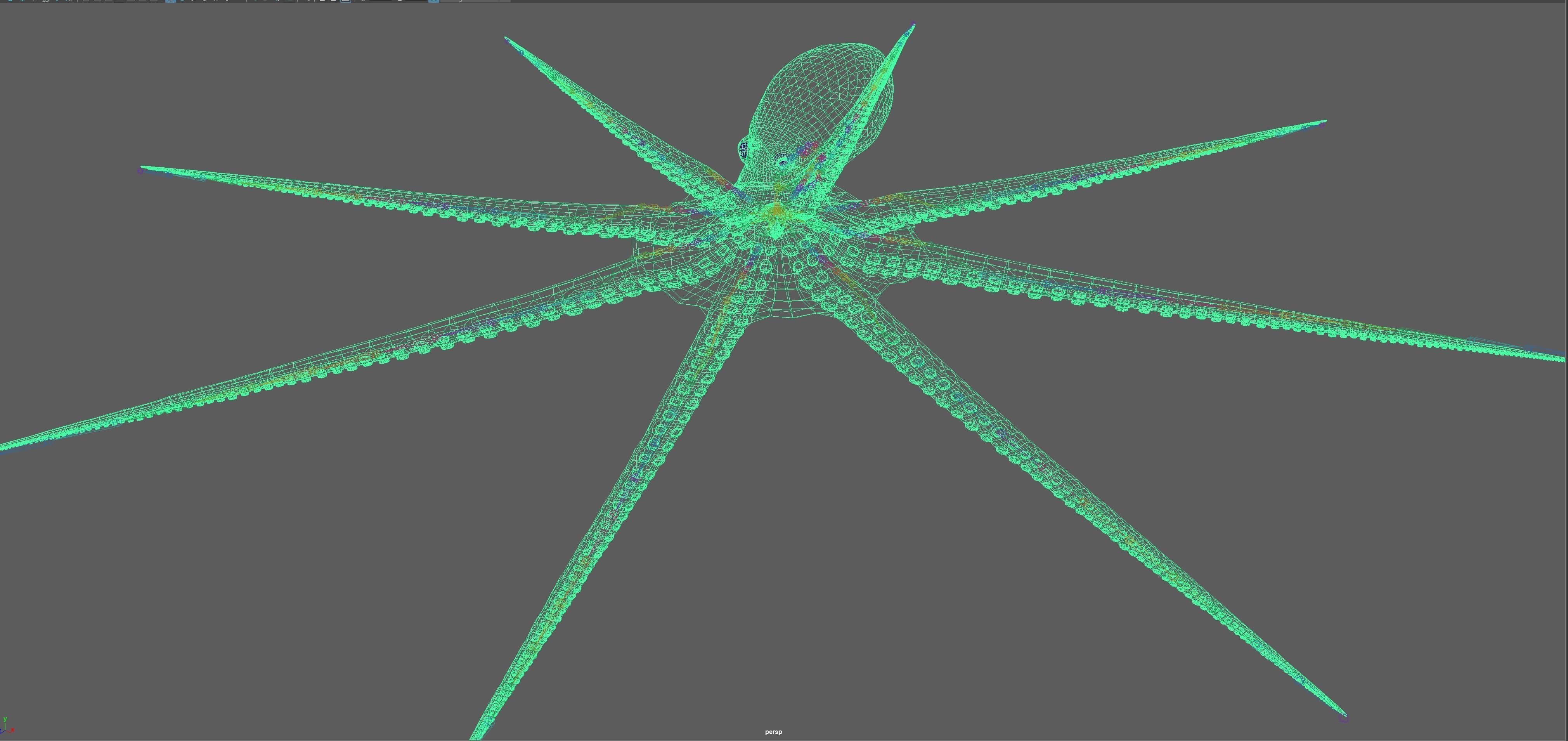 Octopus Rigged 3D model_15