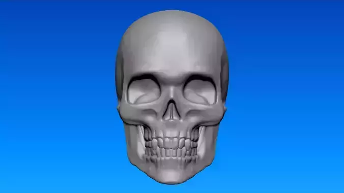 Skull Flat Back Magnet for Sugar Skull painting 3D print model