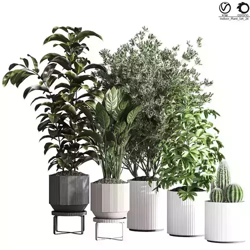 IndoorPlantSet26 four potted plants