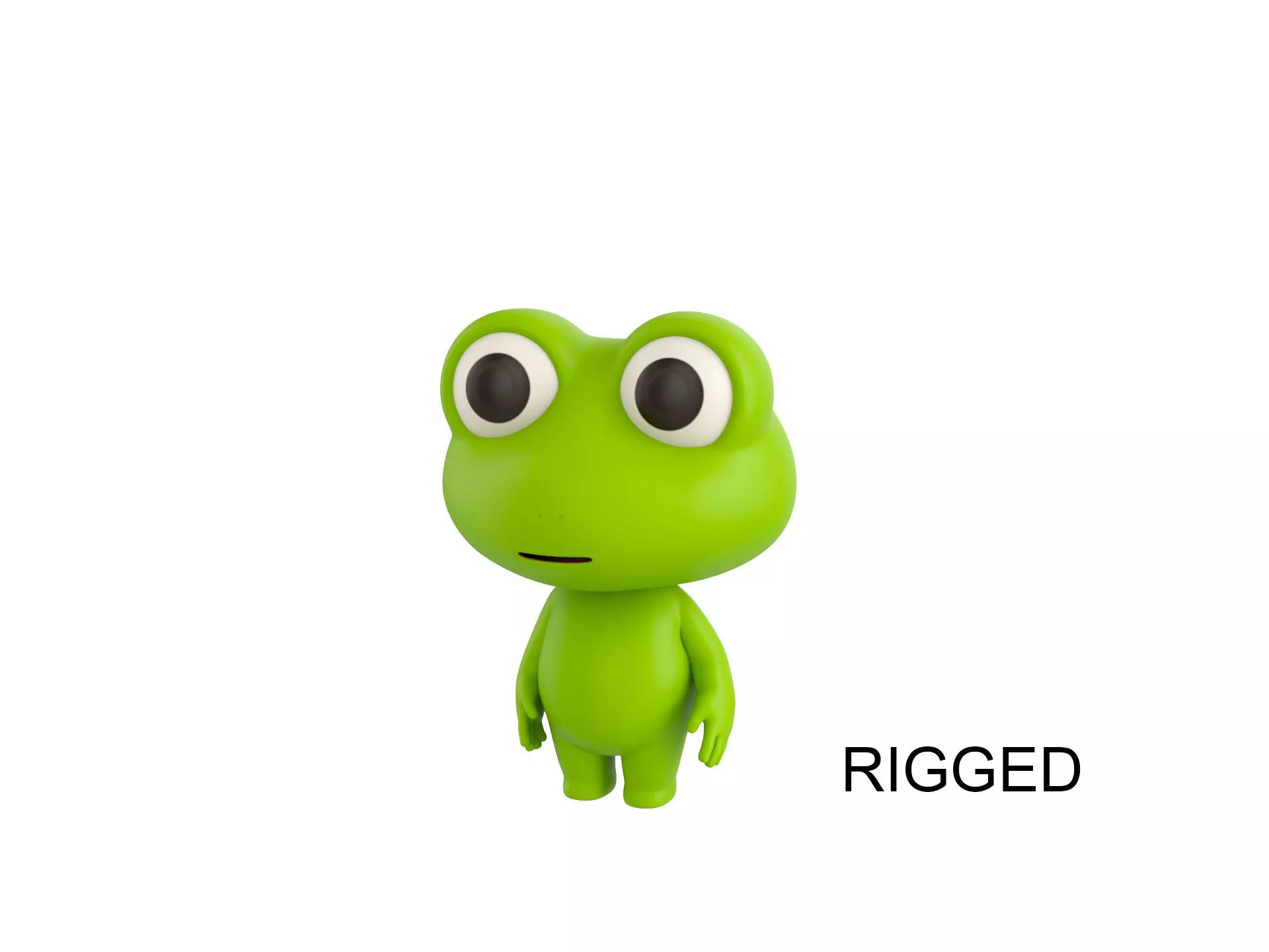 Character172 Rigged Frog 3D model_0