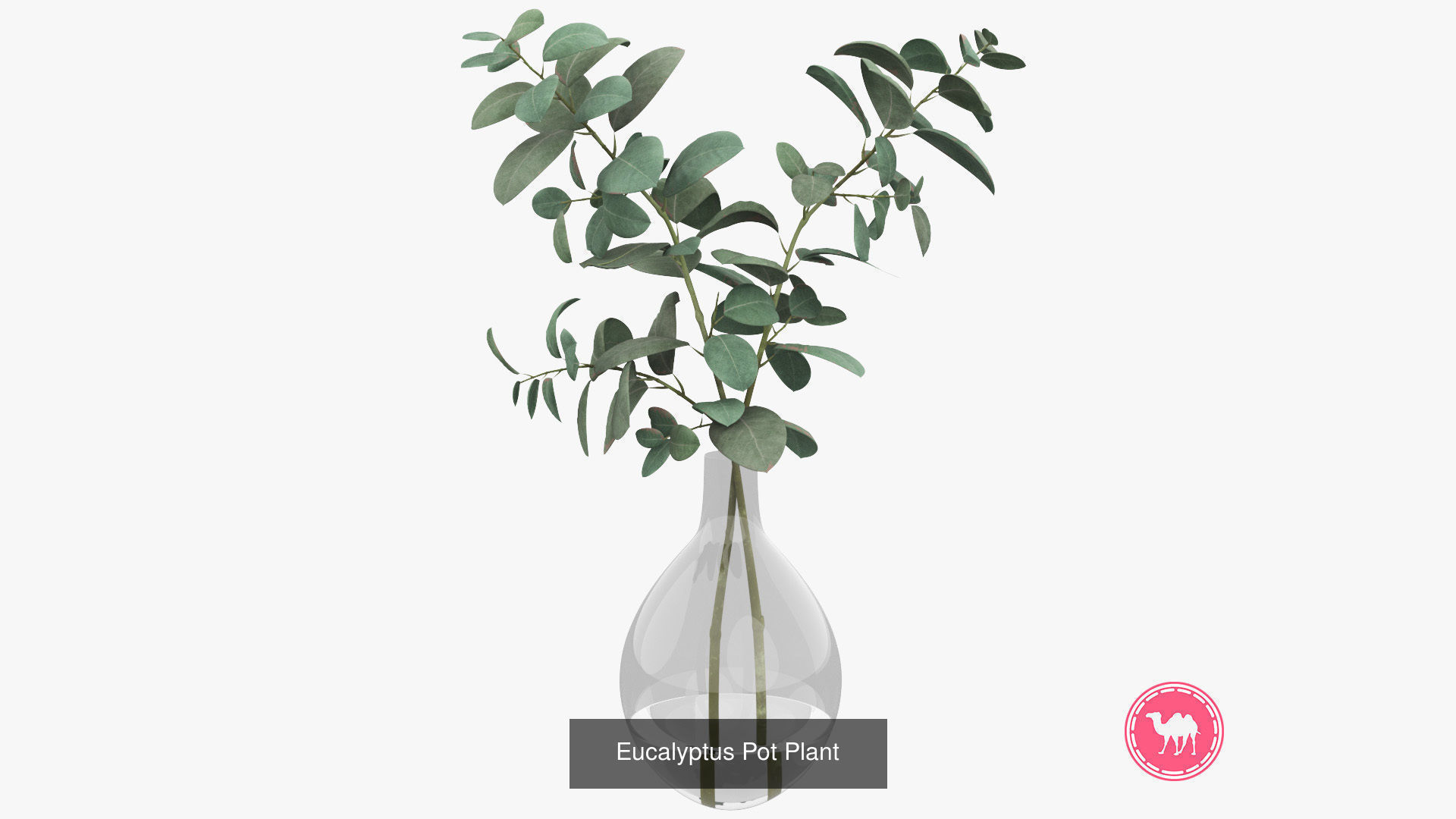 Outdoor Furniture Collection - Corda _6