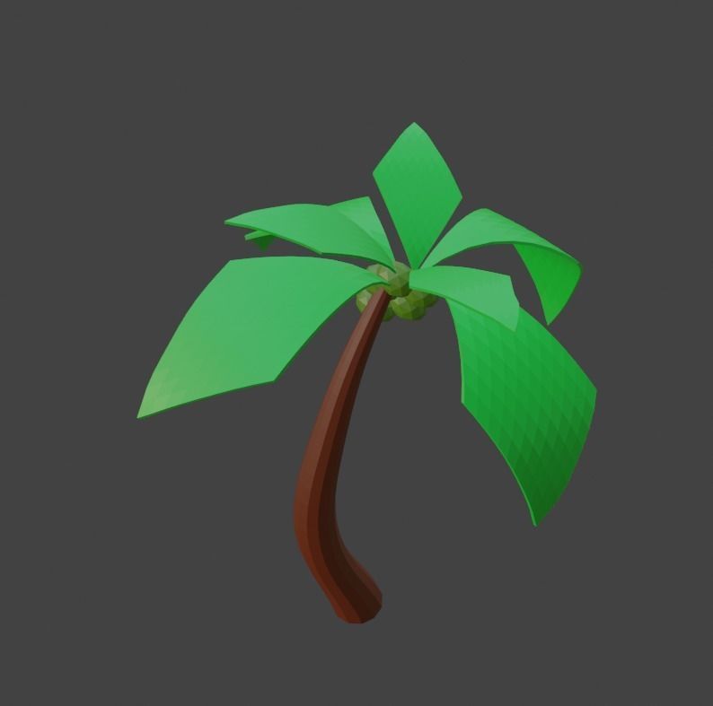 Coconut Tree Low poly Free low-poly 3D model_2