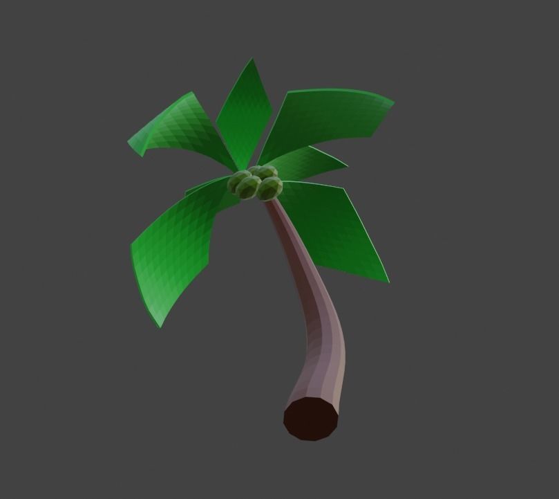 Coconut Tree Low poly Free low-poly 3D model_4