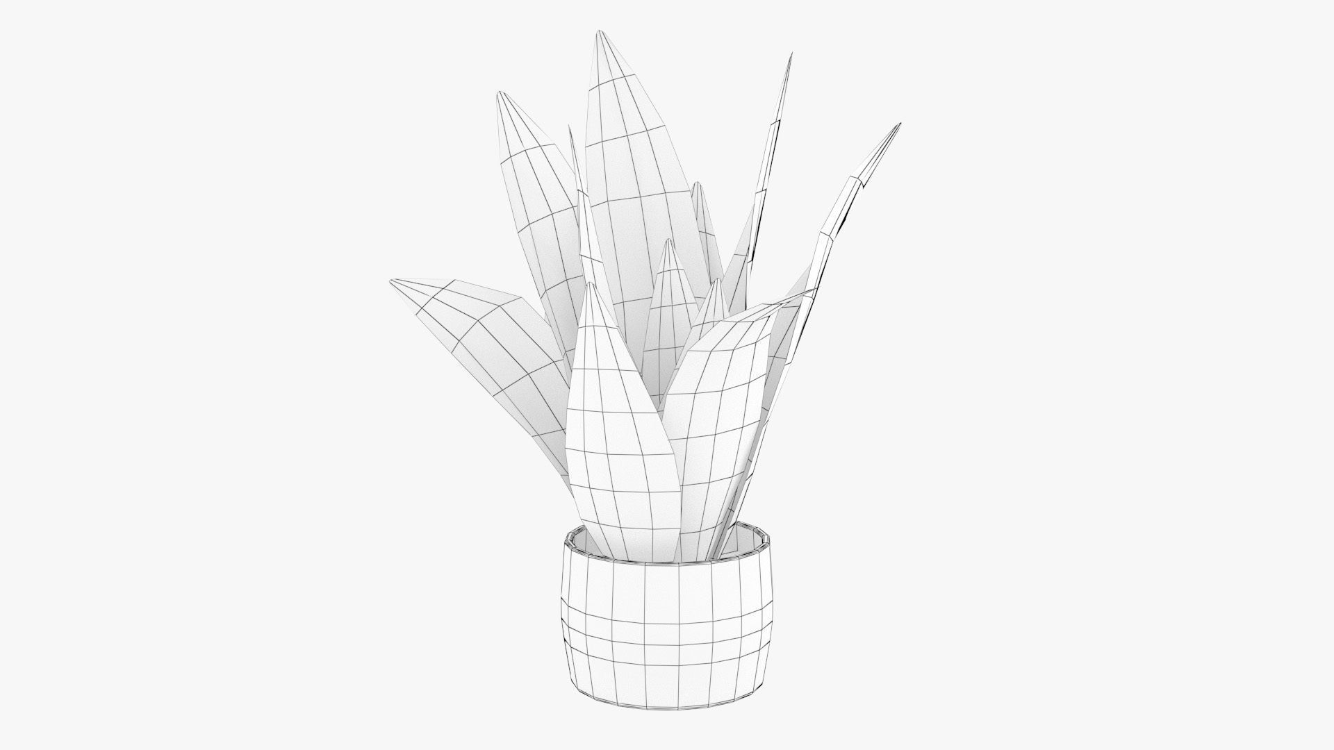Sansevieria Pot Plant Low-poly 3D model_17