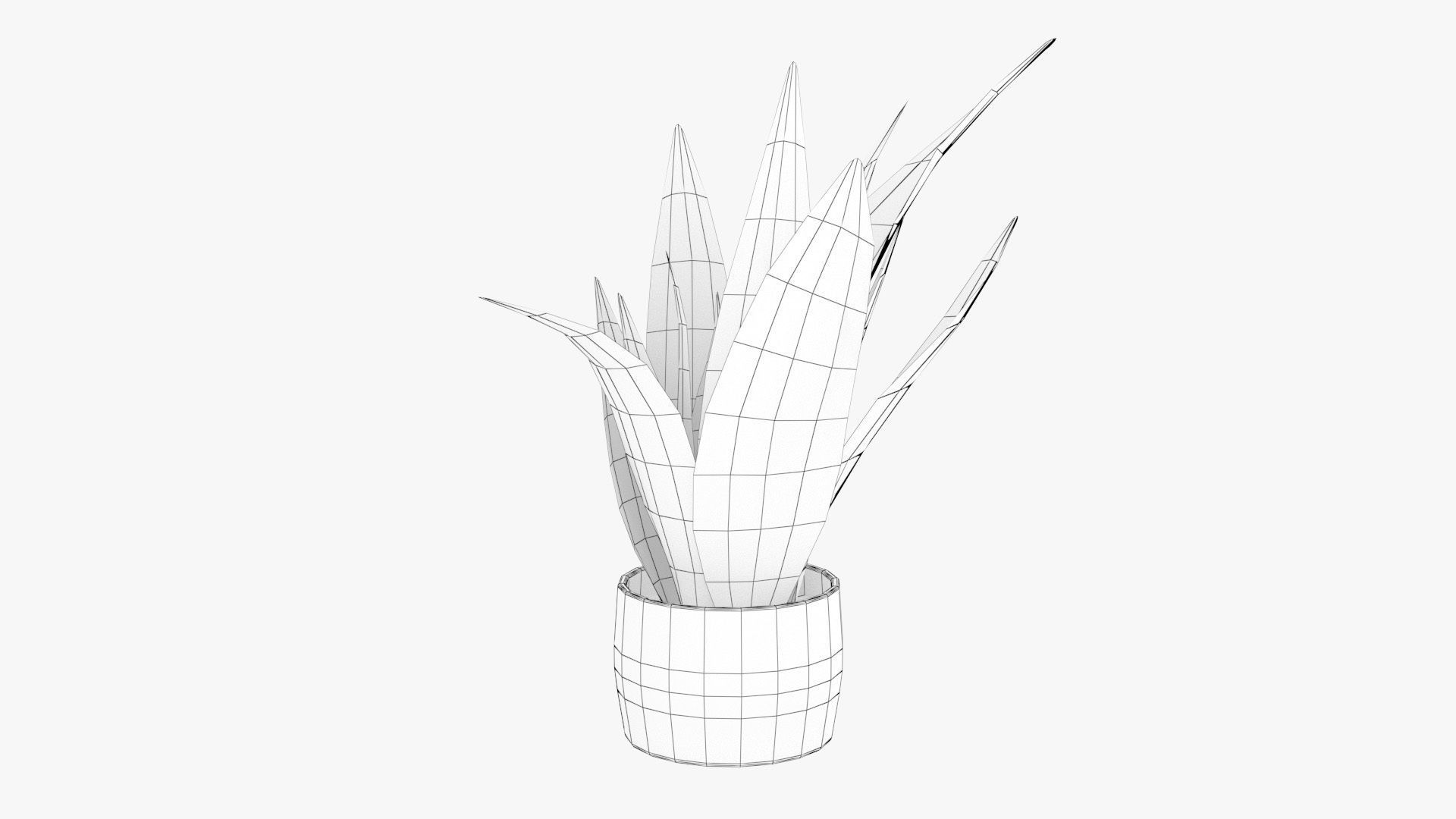 Sansevieria Pot Plant Low-poly 3D model_14