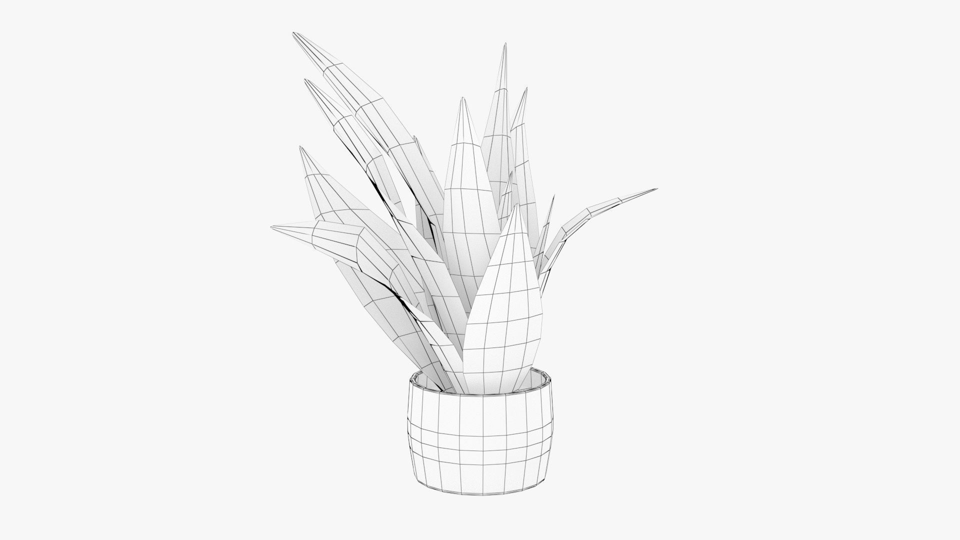 Sansevieria Pot Plant Low-poly 3D model_16