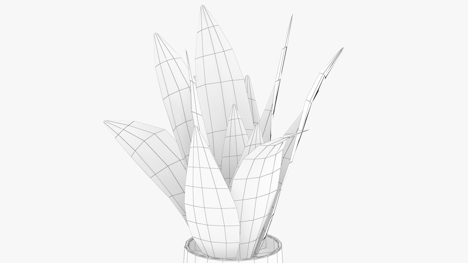 Sansevieria Pot Plant Low-poly 3D model_11
