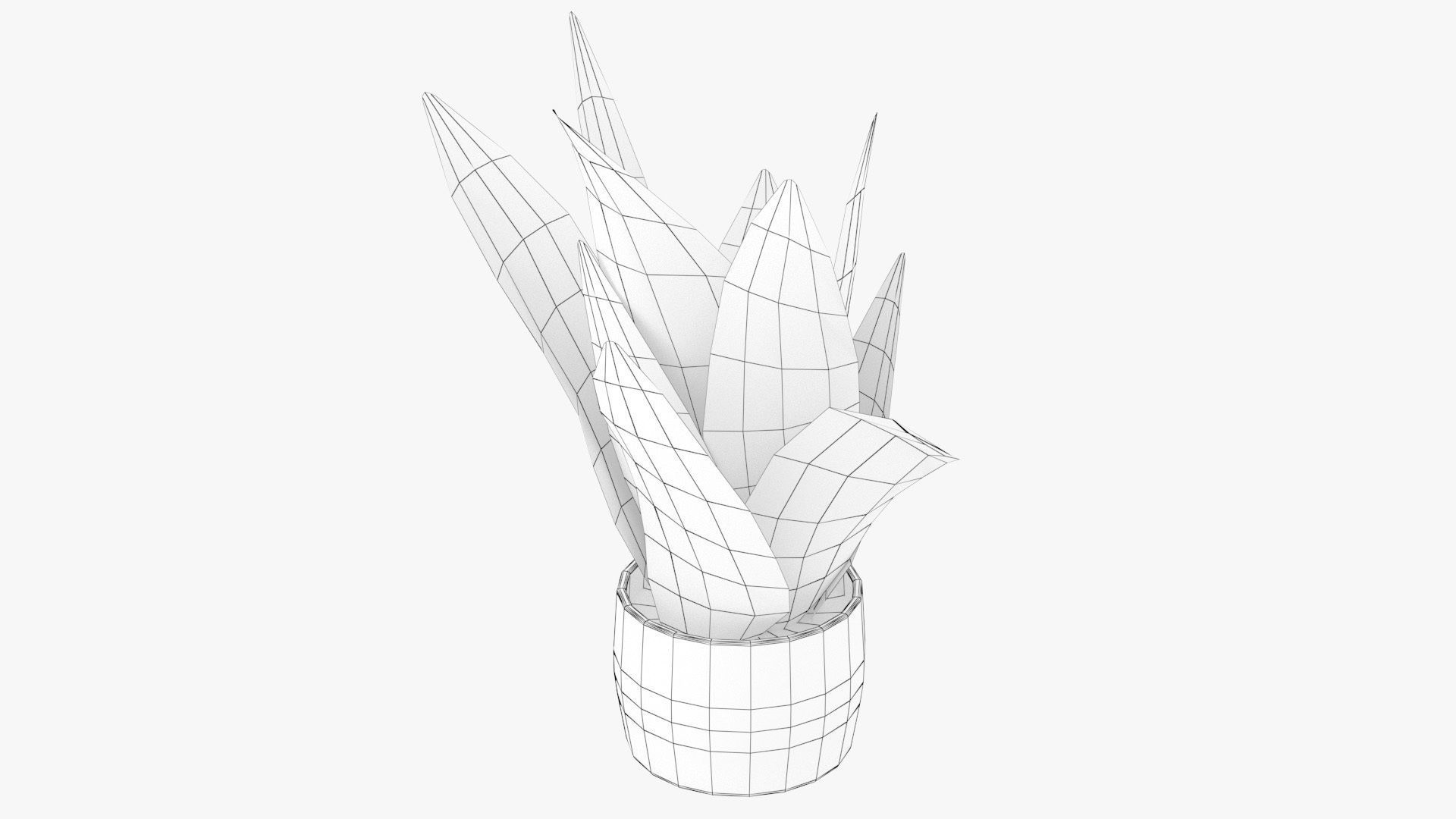 Sansevieria Pot Plant Low-poly 3D model_12