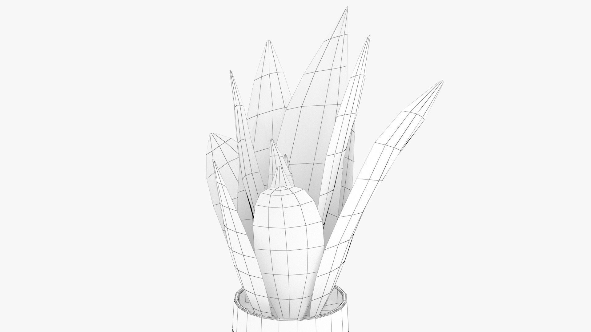 Sansevieria Pot Plant Low-poly 3D model_10