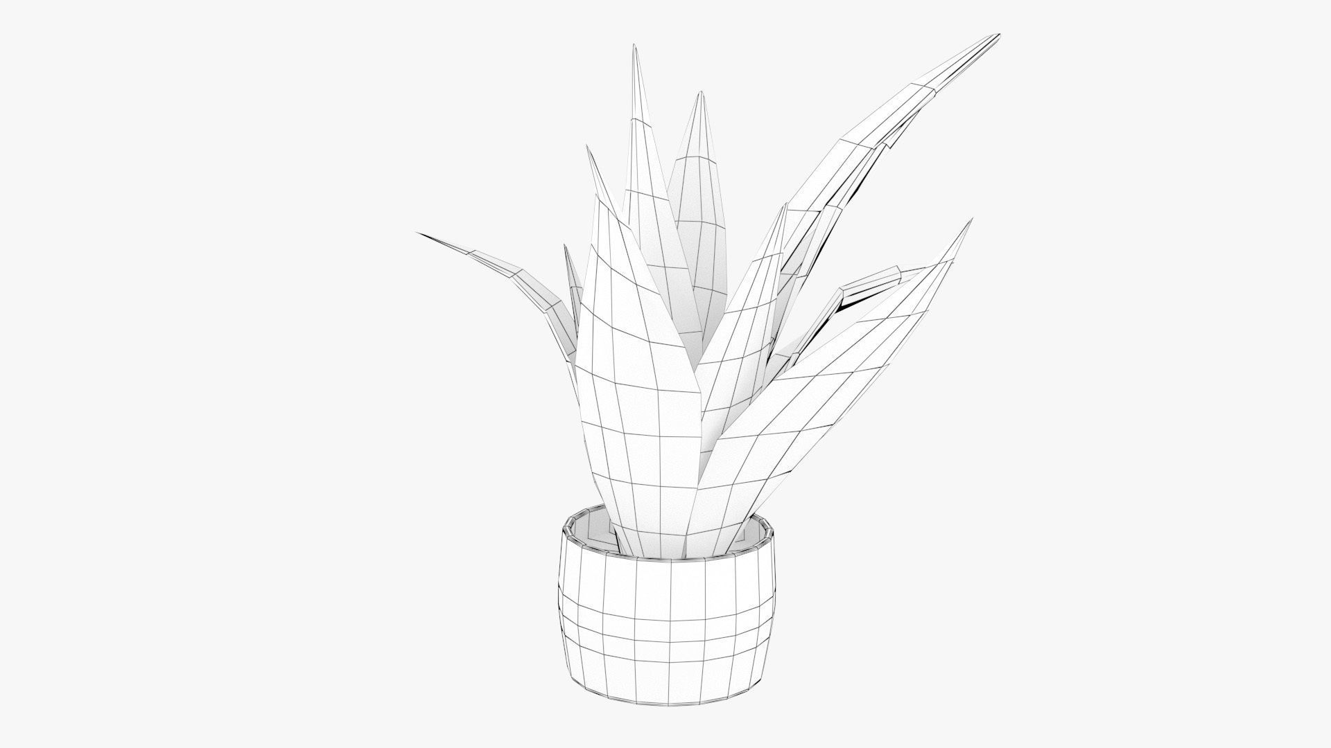 Sansevieria Pot Plant Low-poly 3D model_13