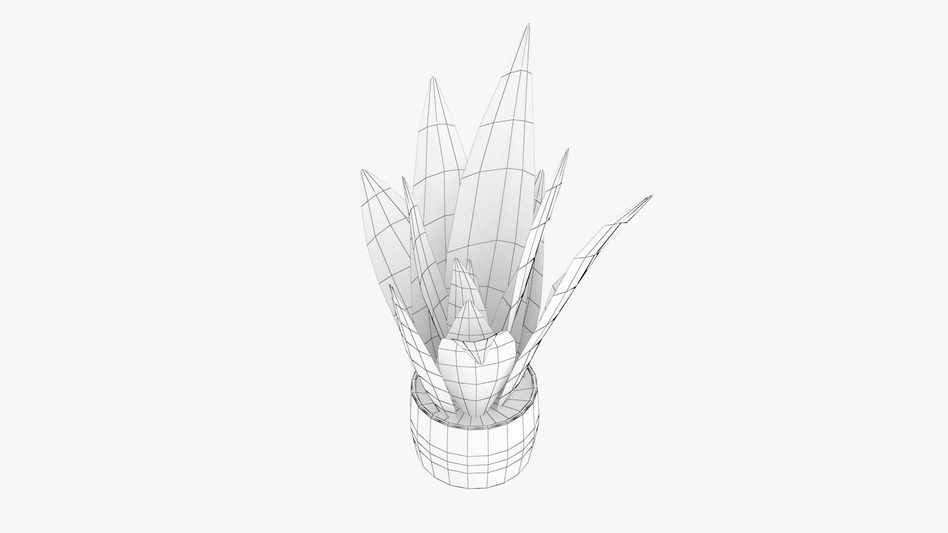 Sansevieria Pot Plant Low-poly 3D model_15