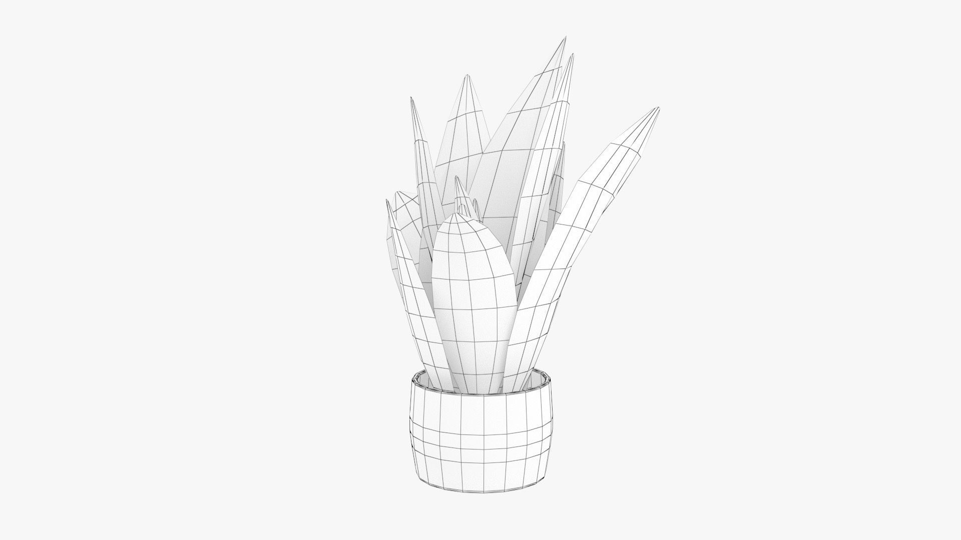 Sansevieria Pot Plant Low-poly 3D model_18