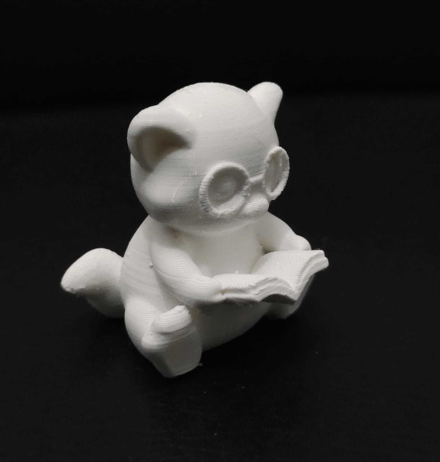 Ferret Book 3D print model_5